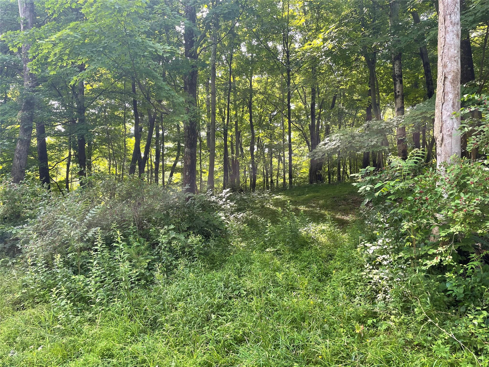 0 Fiddler's Bridge/Schoolhouse Rd, Clinton Corners, NY