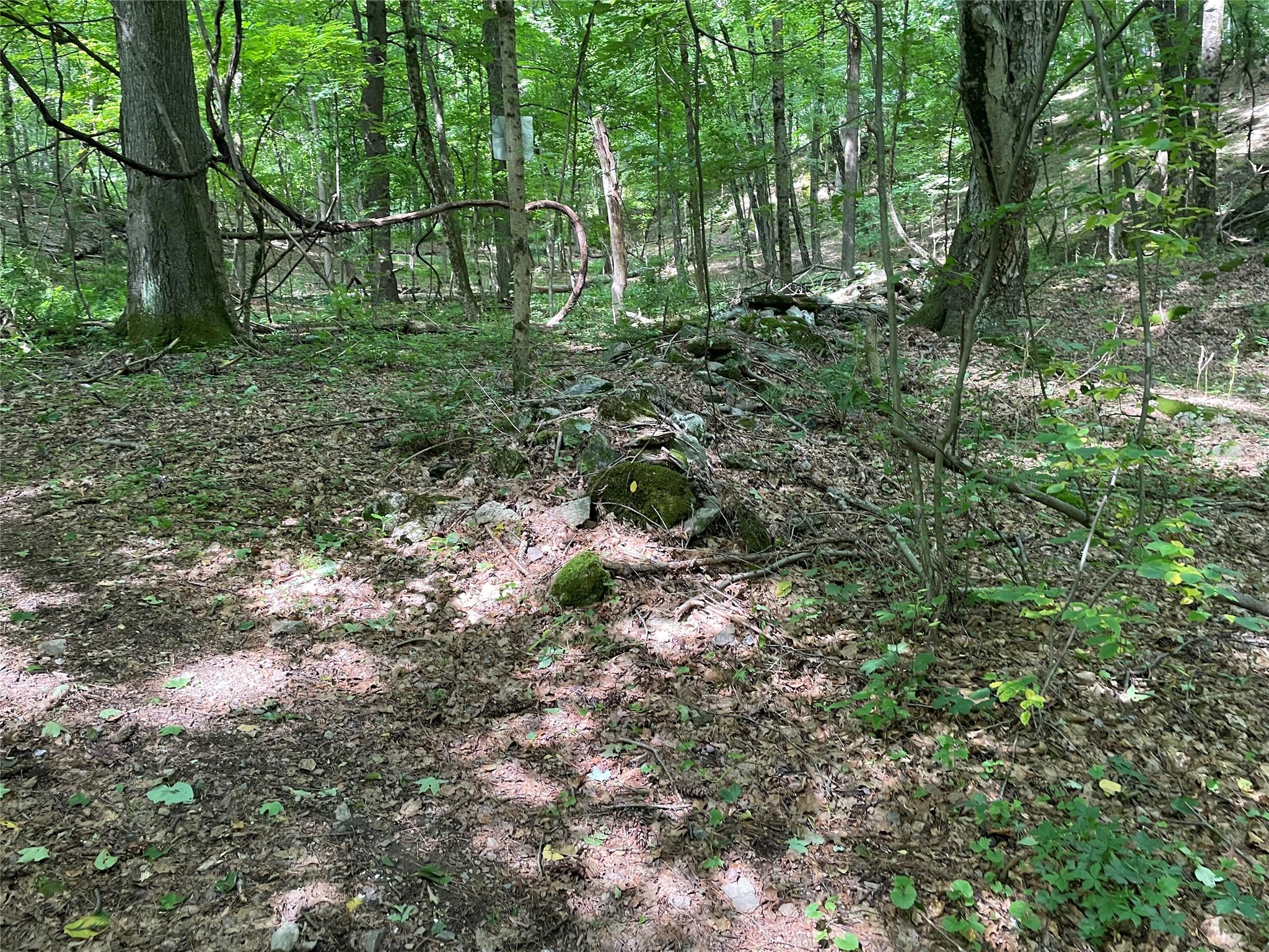 0 Fiddler's Bridge/Schoolhouse Rd, Clinton Corners, NY