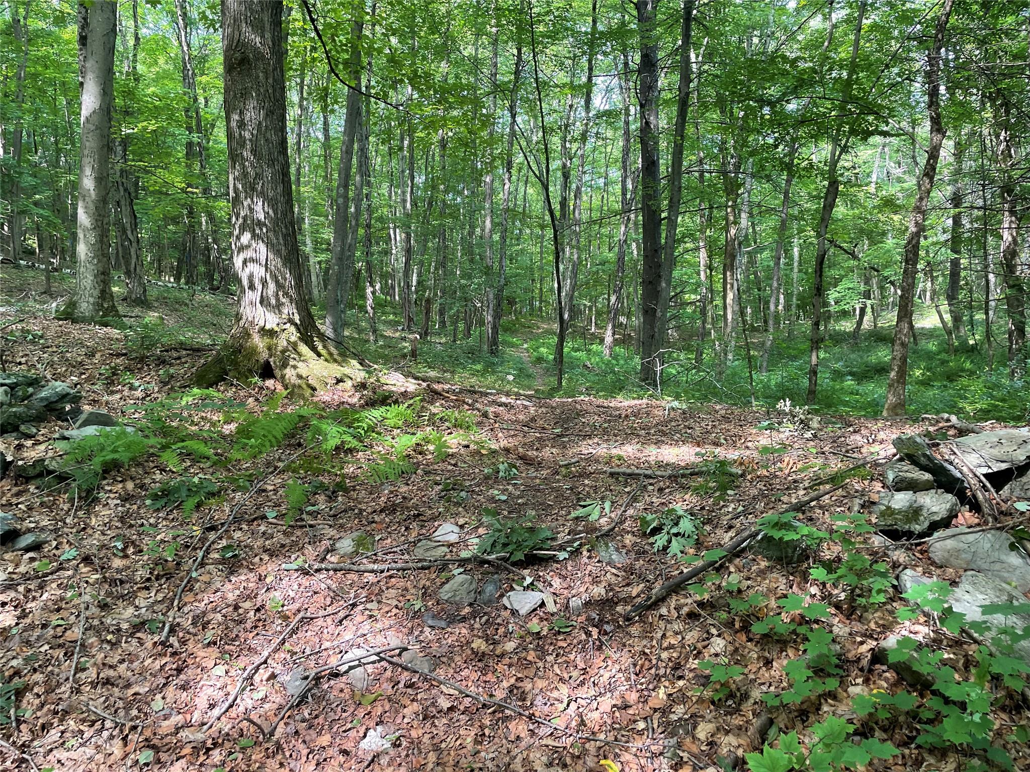 0 Fiddler's Bridge/Schoolhouse Rd, Clinton Corners, NY