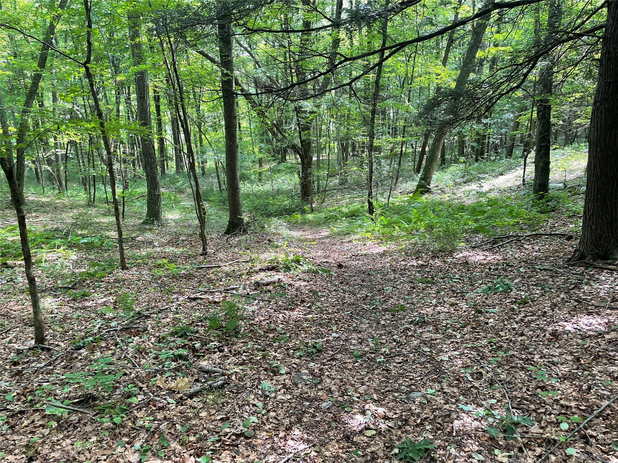 0 Fiddler's Bridge/Schoolhouse Rd, Clinton Corners, NY