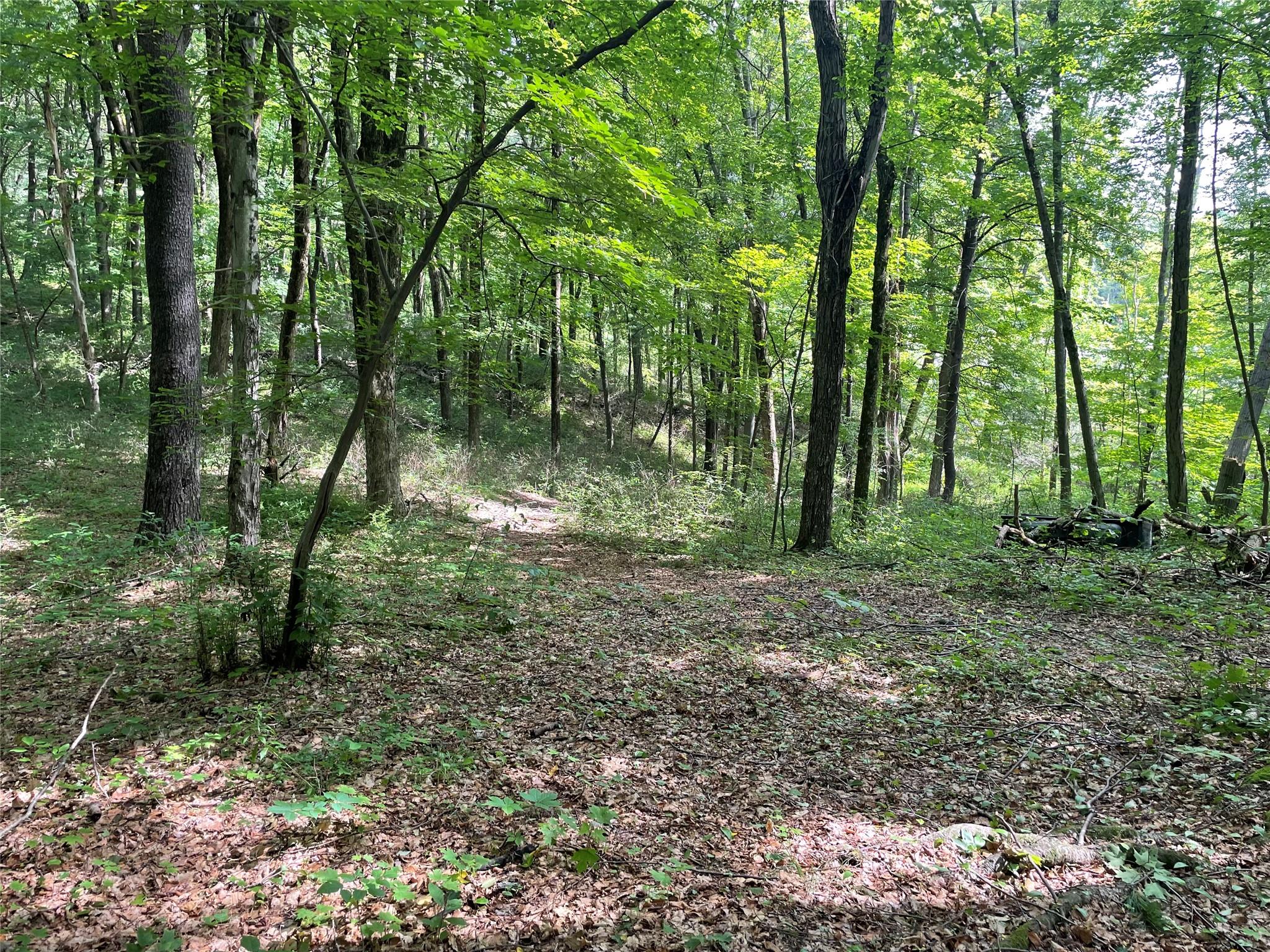 0 Fiddler's Bridge/Schoolhouse Rd, Clinton Corners, NY