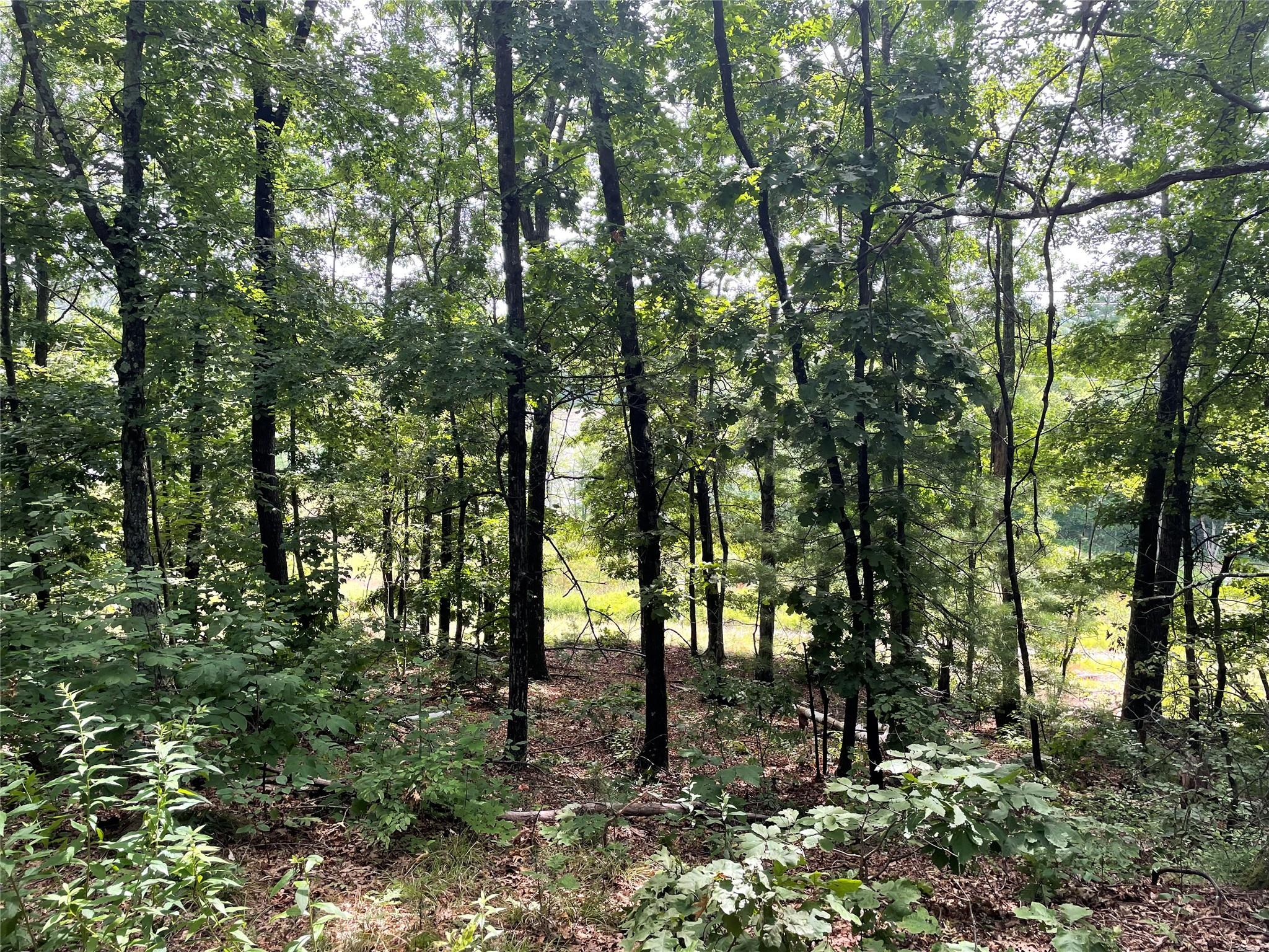 0 Fiddler's Bridge/Schoolhouse Rd, Clinton Corners, NY