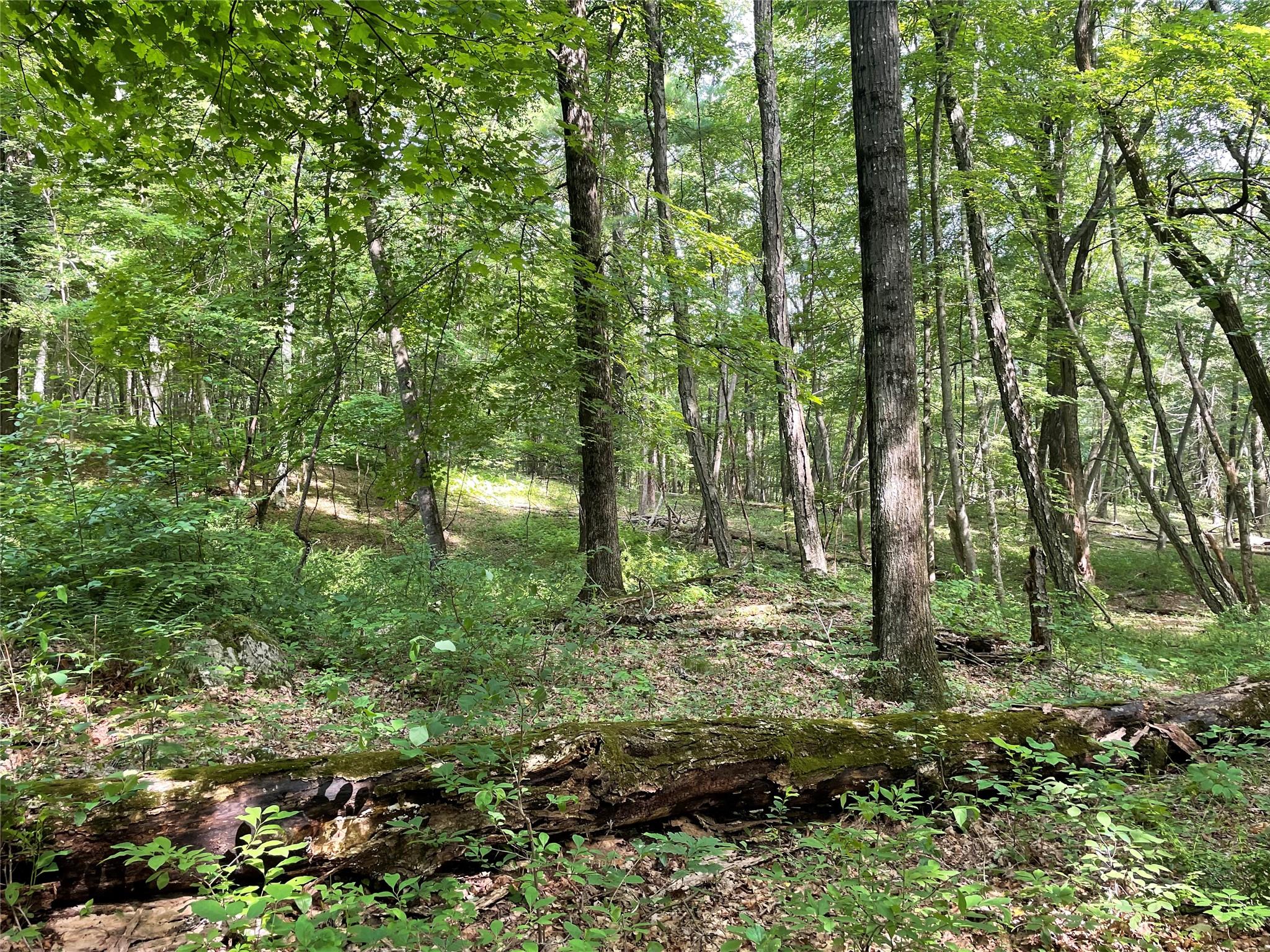 0 Fiddler's Bridge/Schoolhouse Rd, Clinton Corners, NY