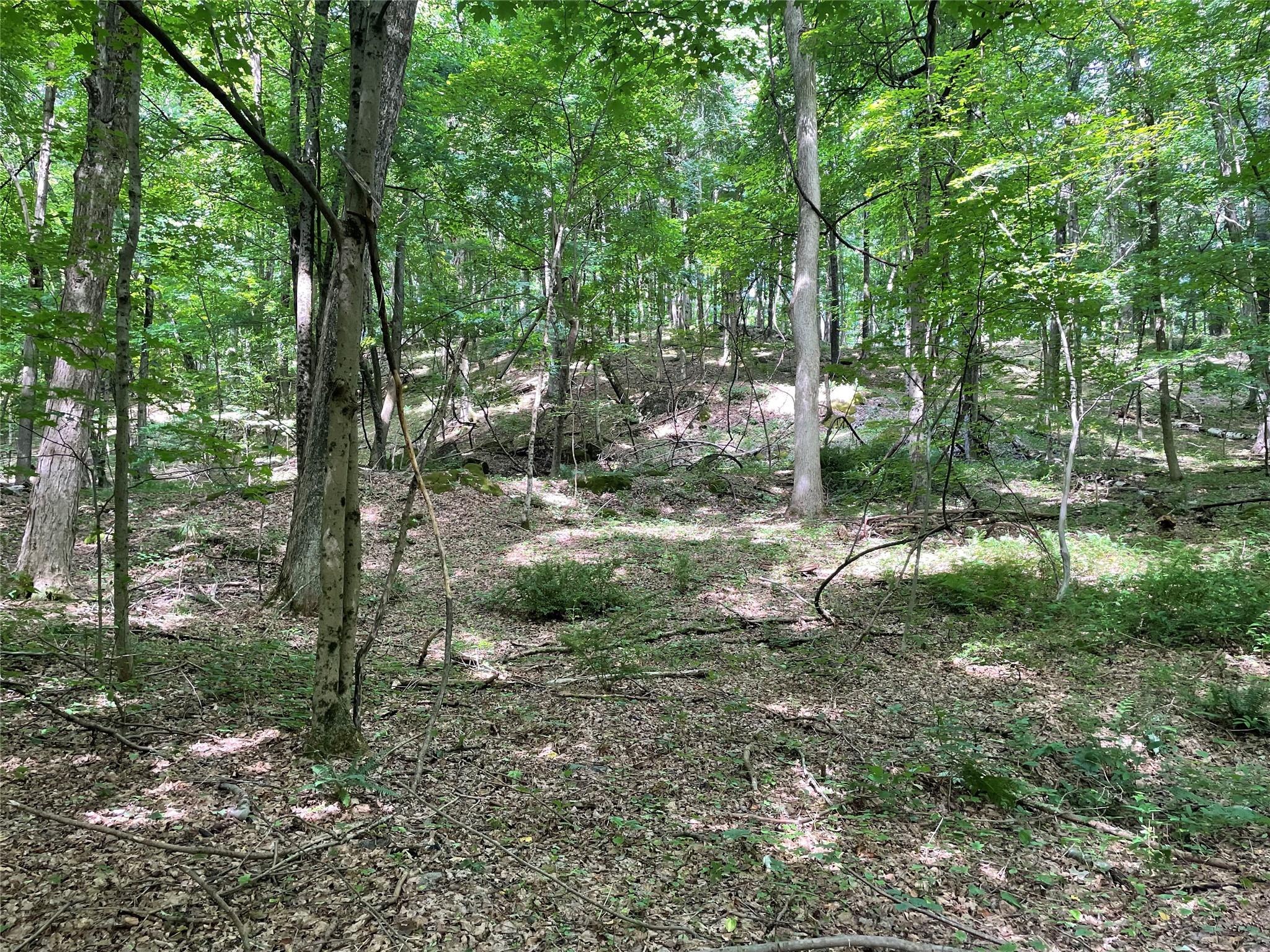 0 Fiddler's Bridge/Schoolhouse Rd, Clinton Corners, NY