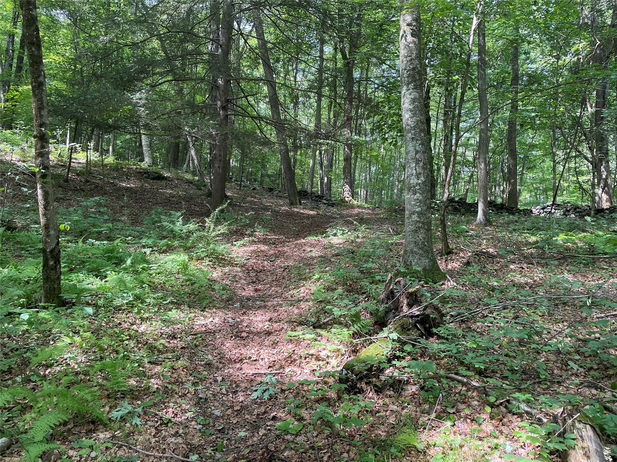 0 Fiddler's Bridge/Schoolhouse Rd, Clinton Corners, NY