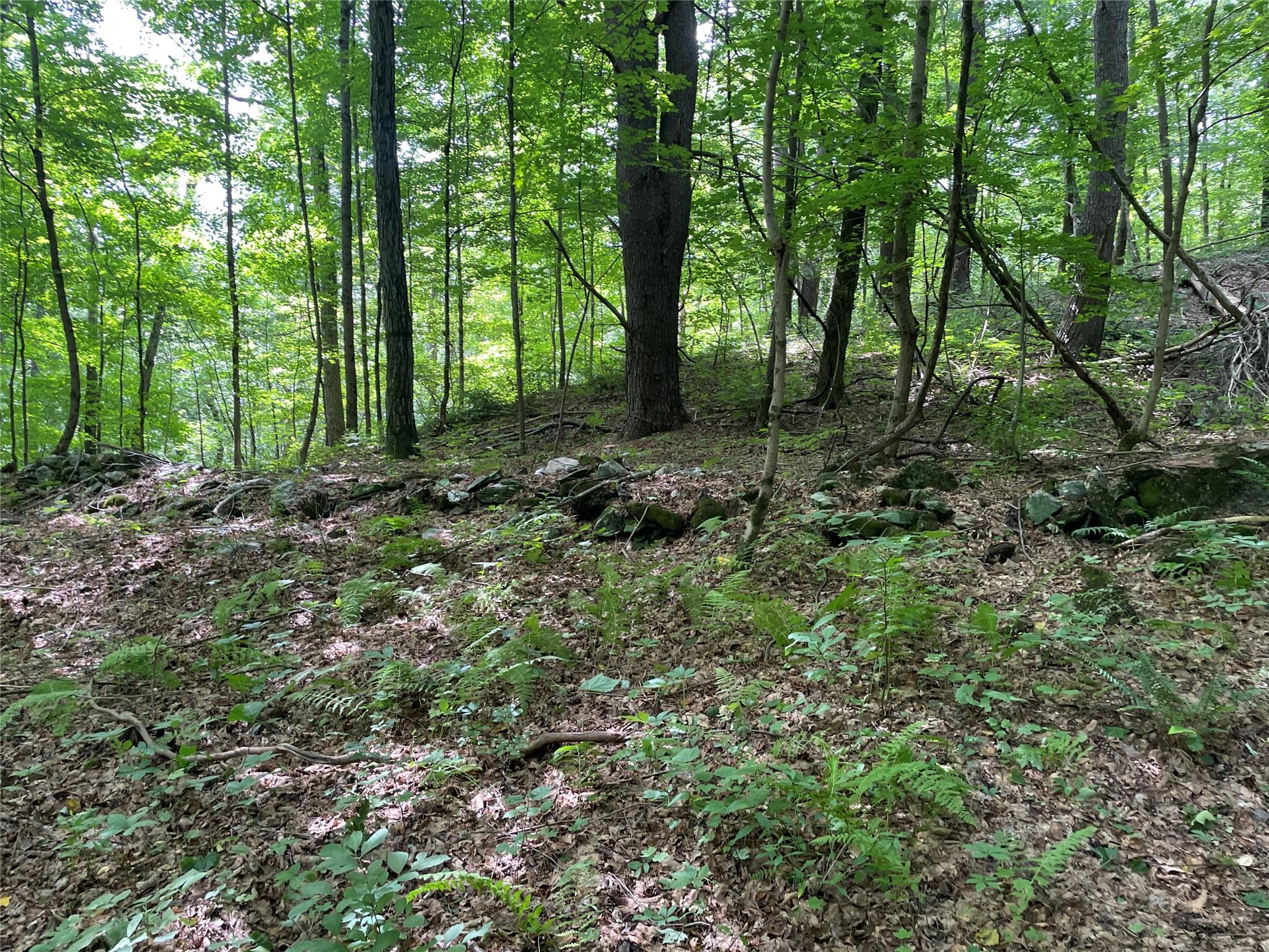 0 Fiddler's Bridge/Schoolhouse Rd, Clinton Corners, NY