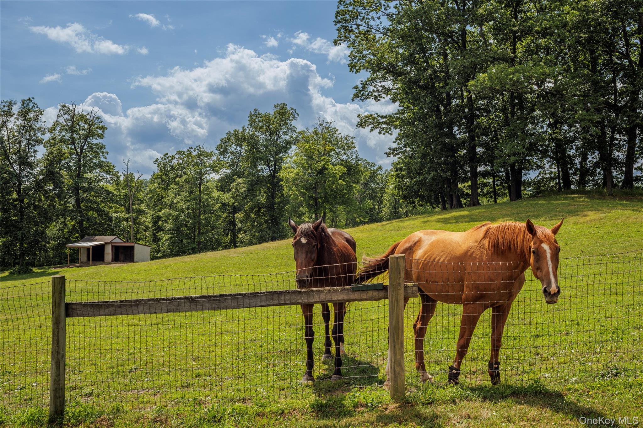 48 County Route 14, Hudson, NY 12534