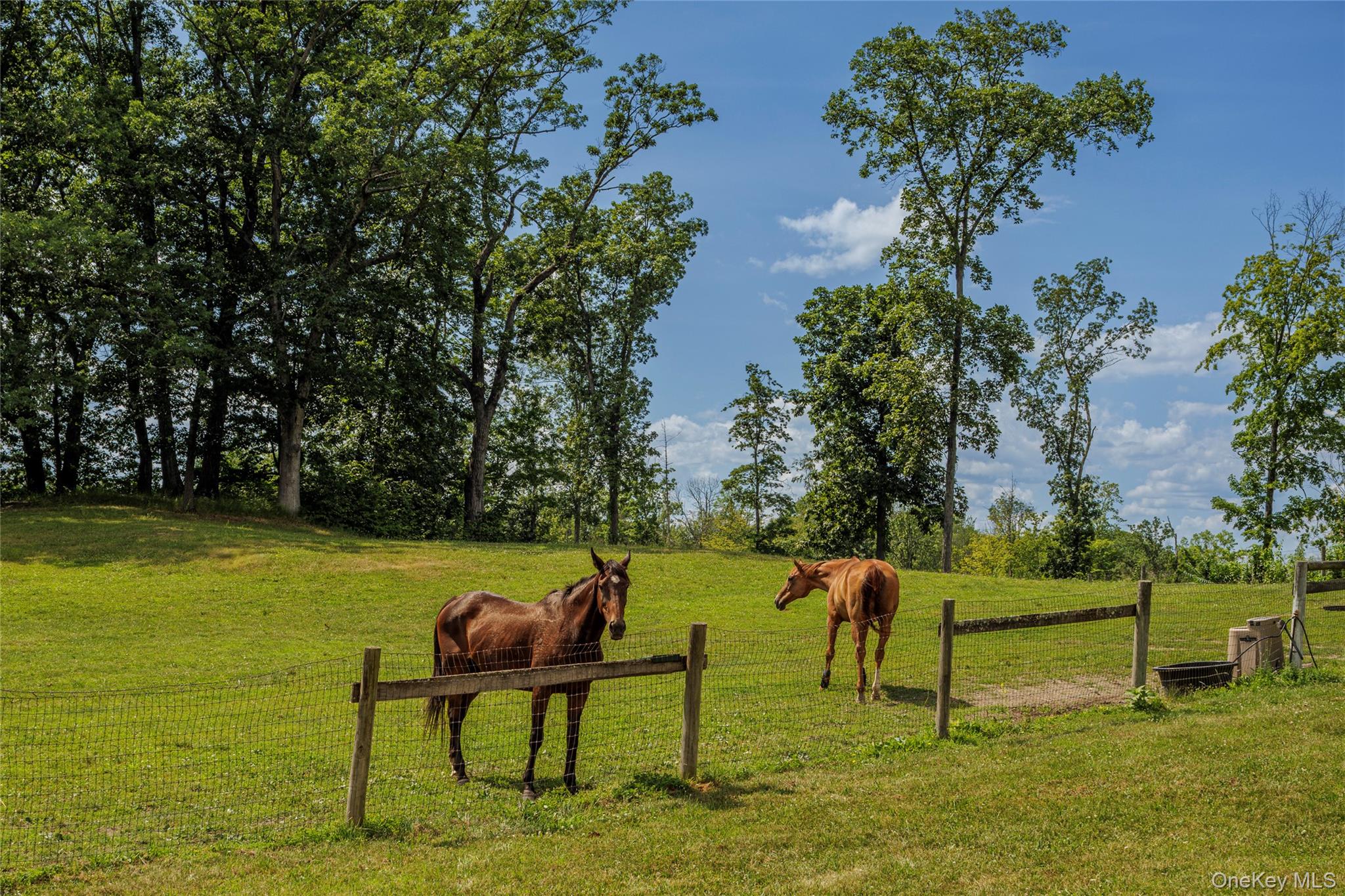 48 County Route 14, Hudson, NY 12534