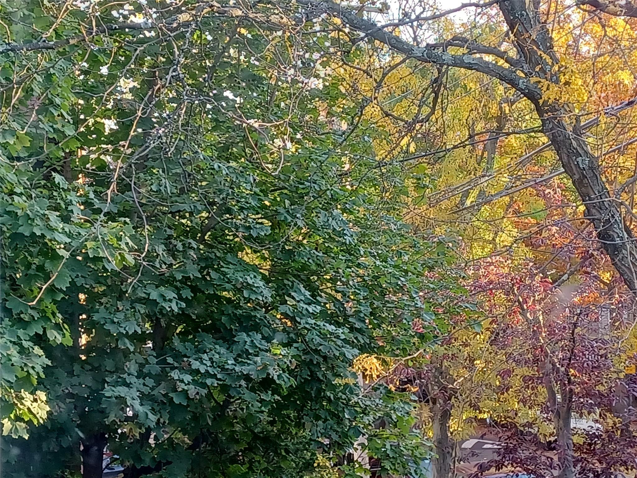 1774 Pitman Avenue, Bronx, NY 10466