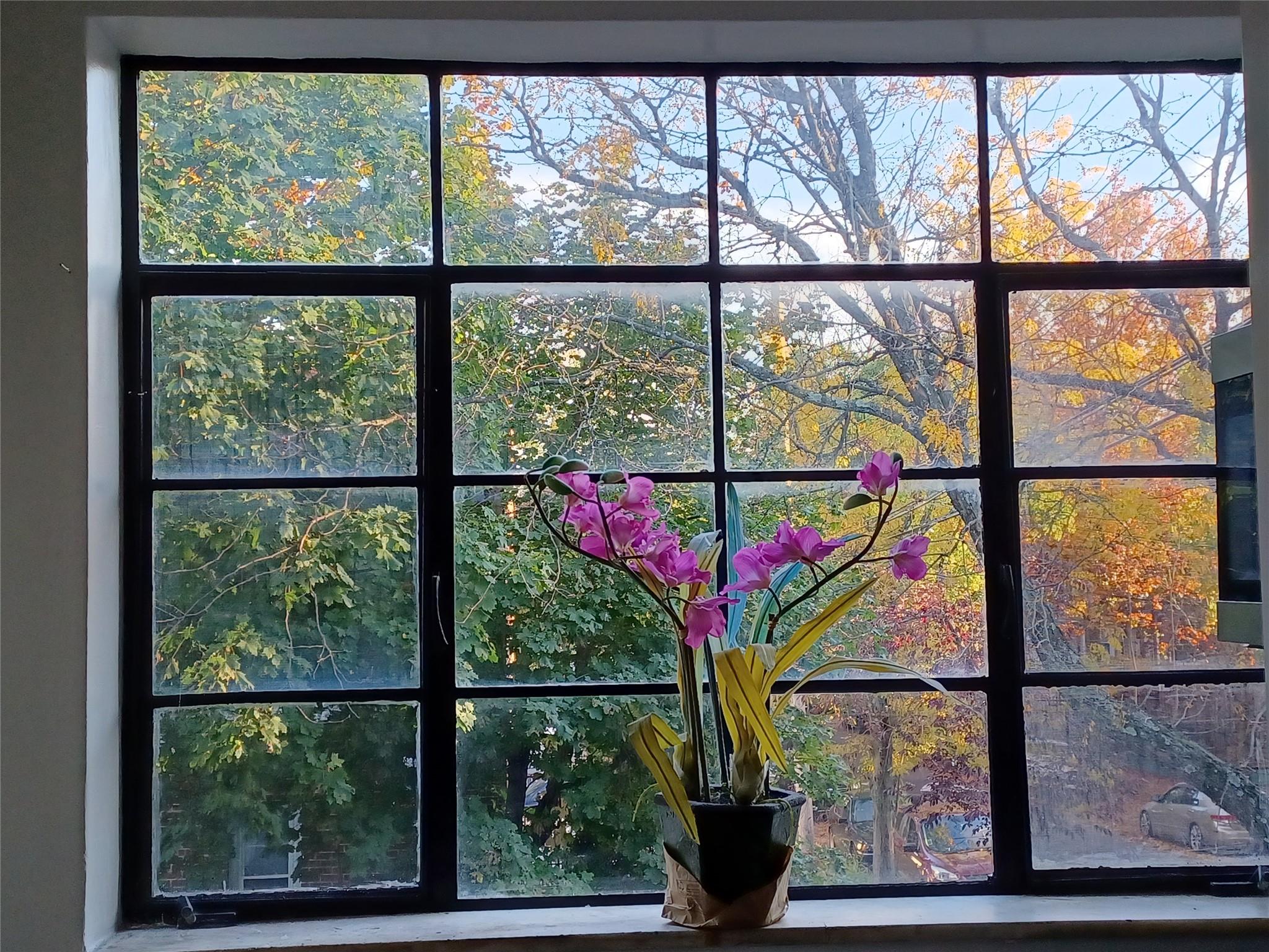 1774 Pitman Avenue, Bronx, NY 10466