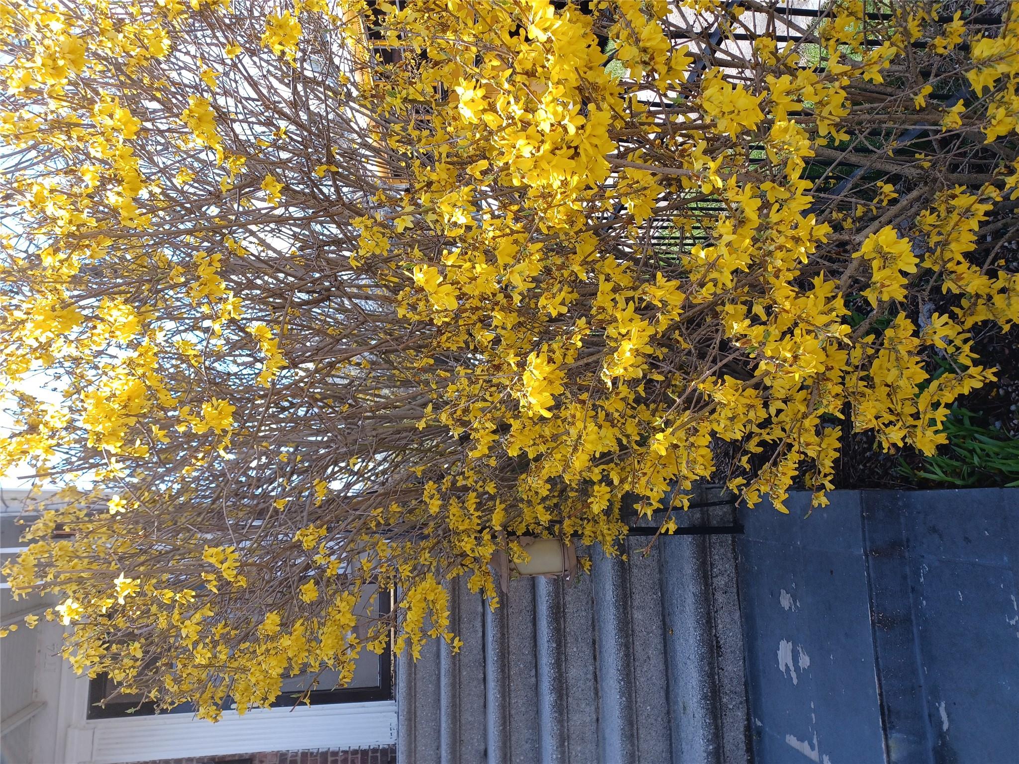 1774 Pitman Avenue, Bronx, NY 10466