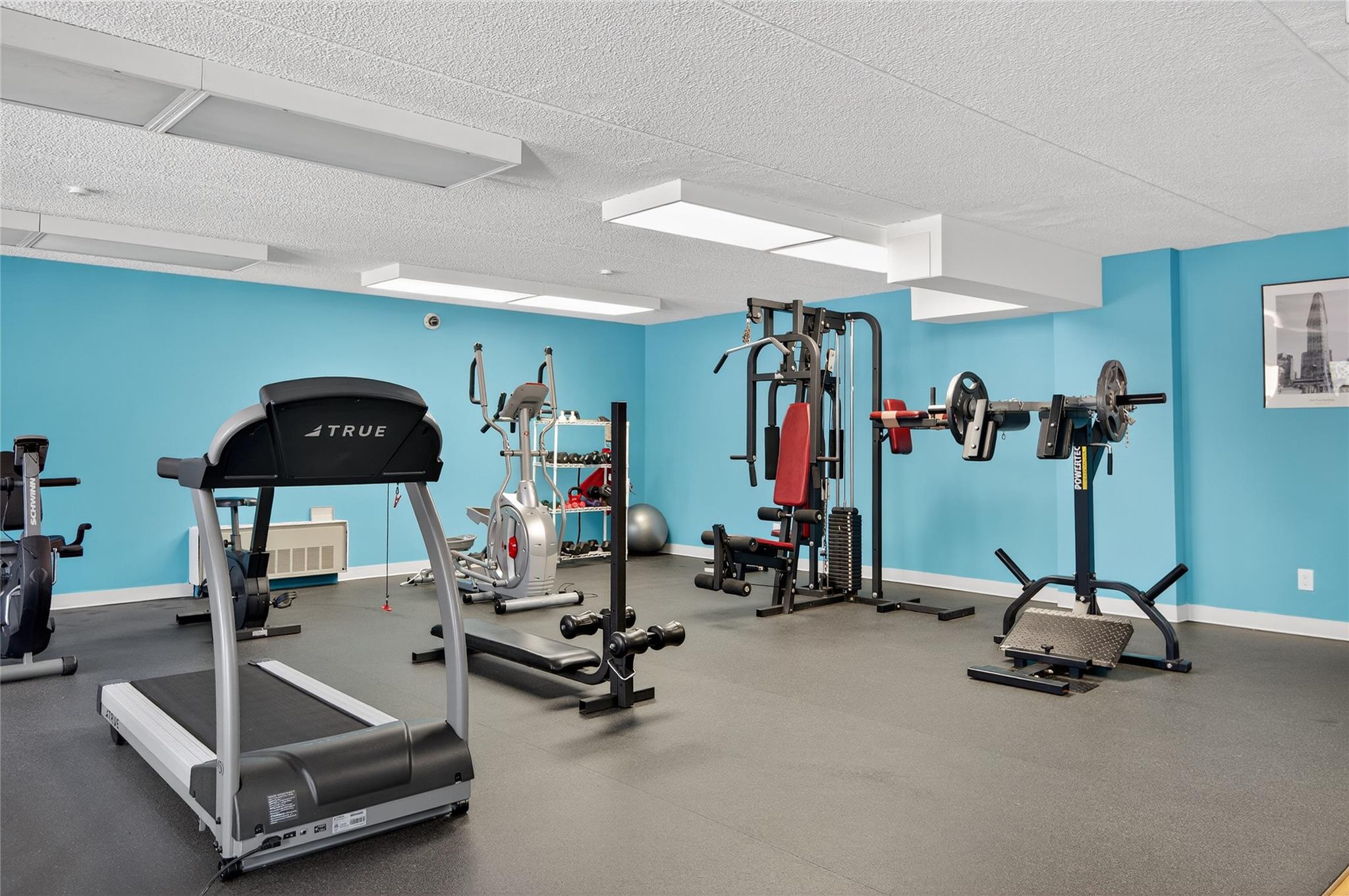 175 Maple Avenue # 5G, Westbury, NY 11590