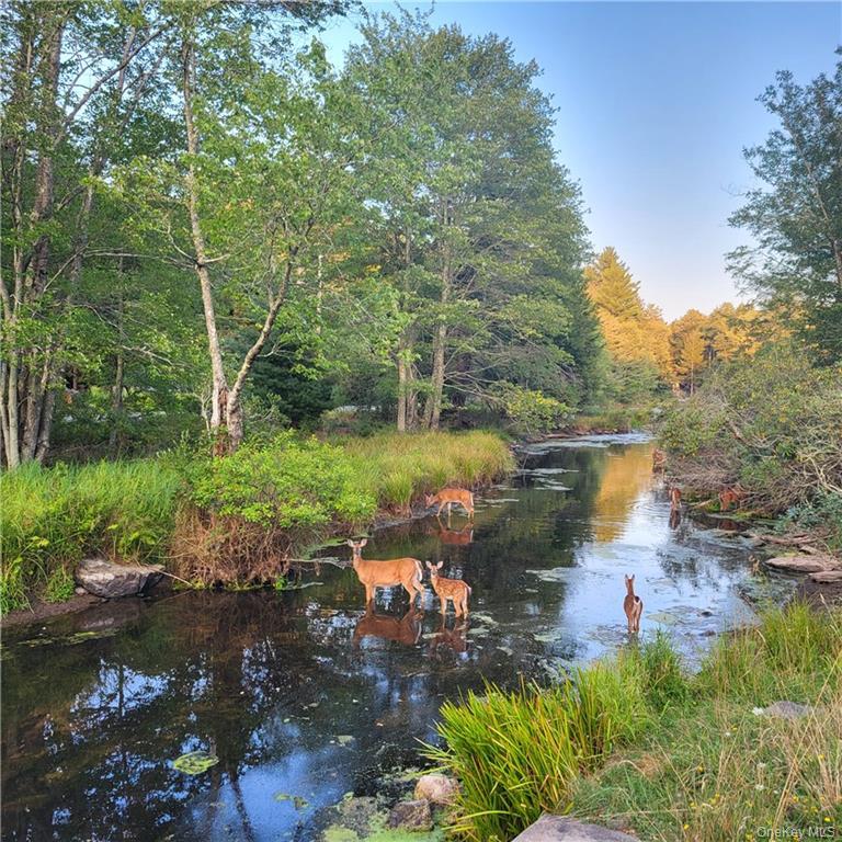 58 Woodland Way, Bethel, NY 12720