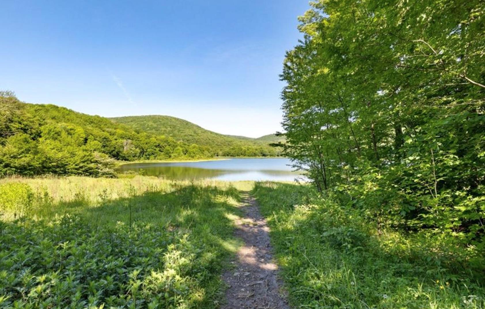 2018 Beaverkill Road, Livingston Manor, NY 12758