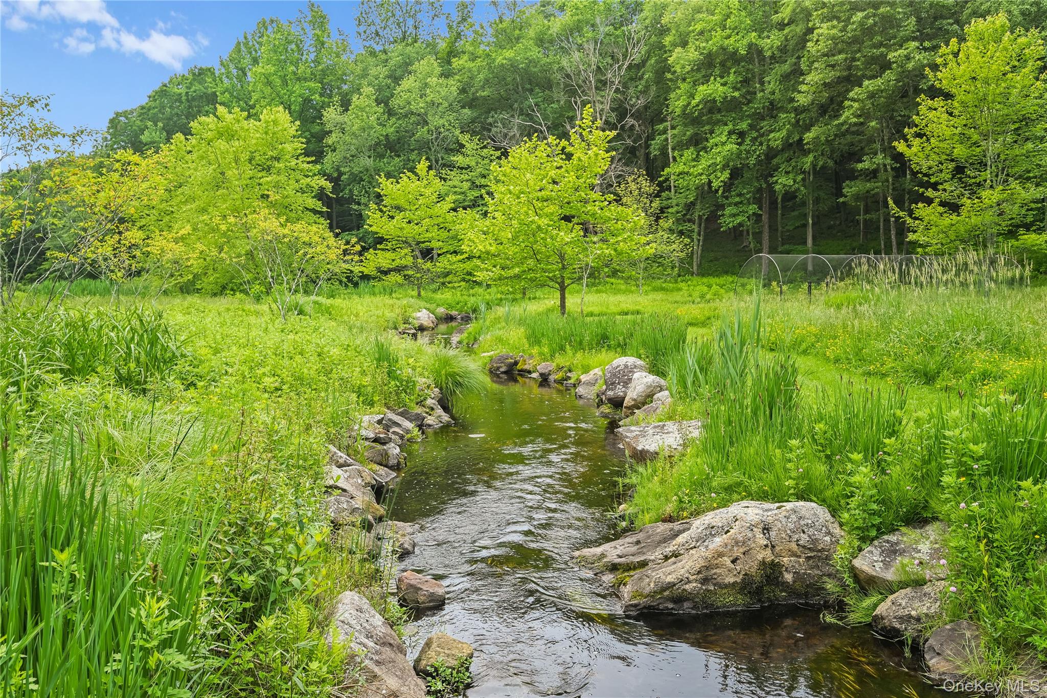 151-155 Long Ridge Road, Danbury, CT 06810