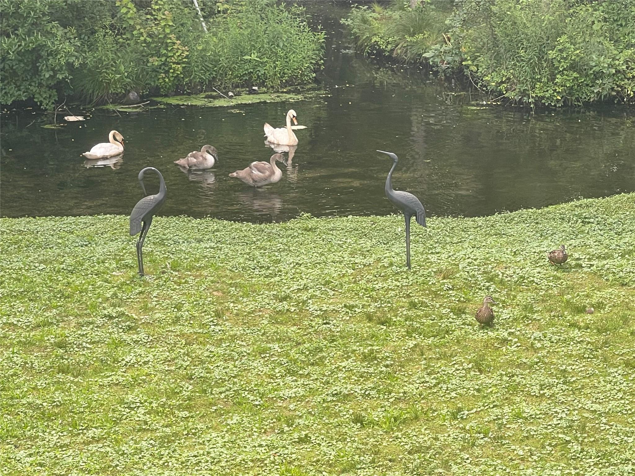 8 Trezza Court, Bellmore, NY 11710