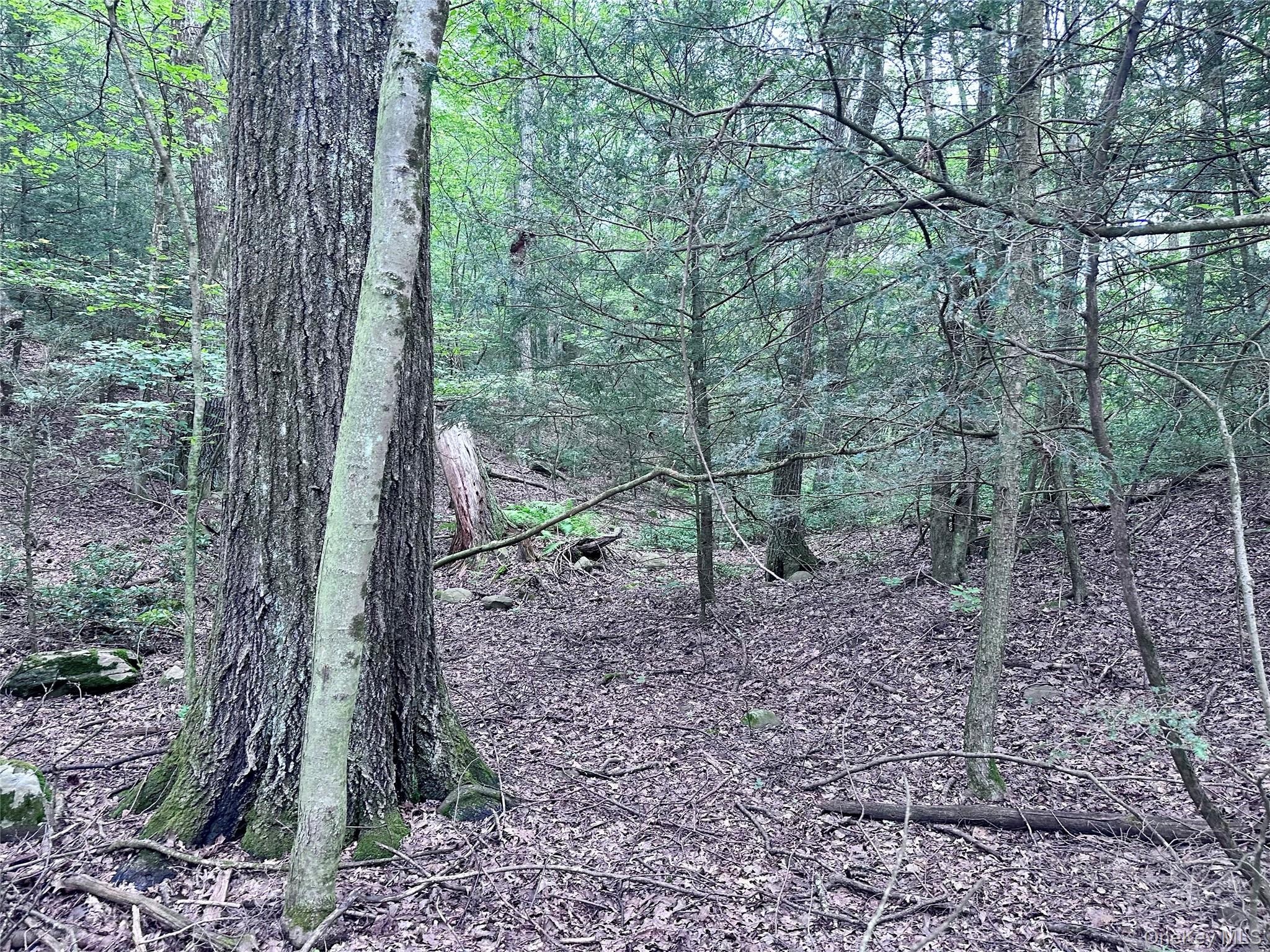 Lot 1 Upper Cherrytown, Kerhonkson, NY 12446