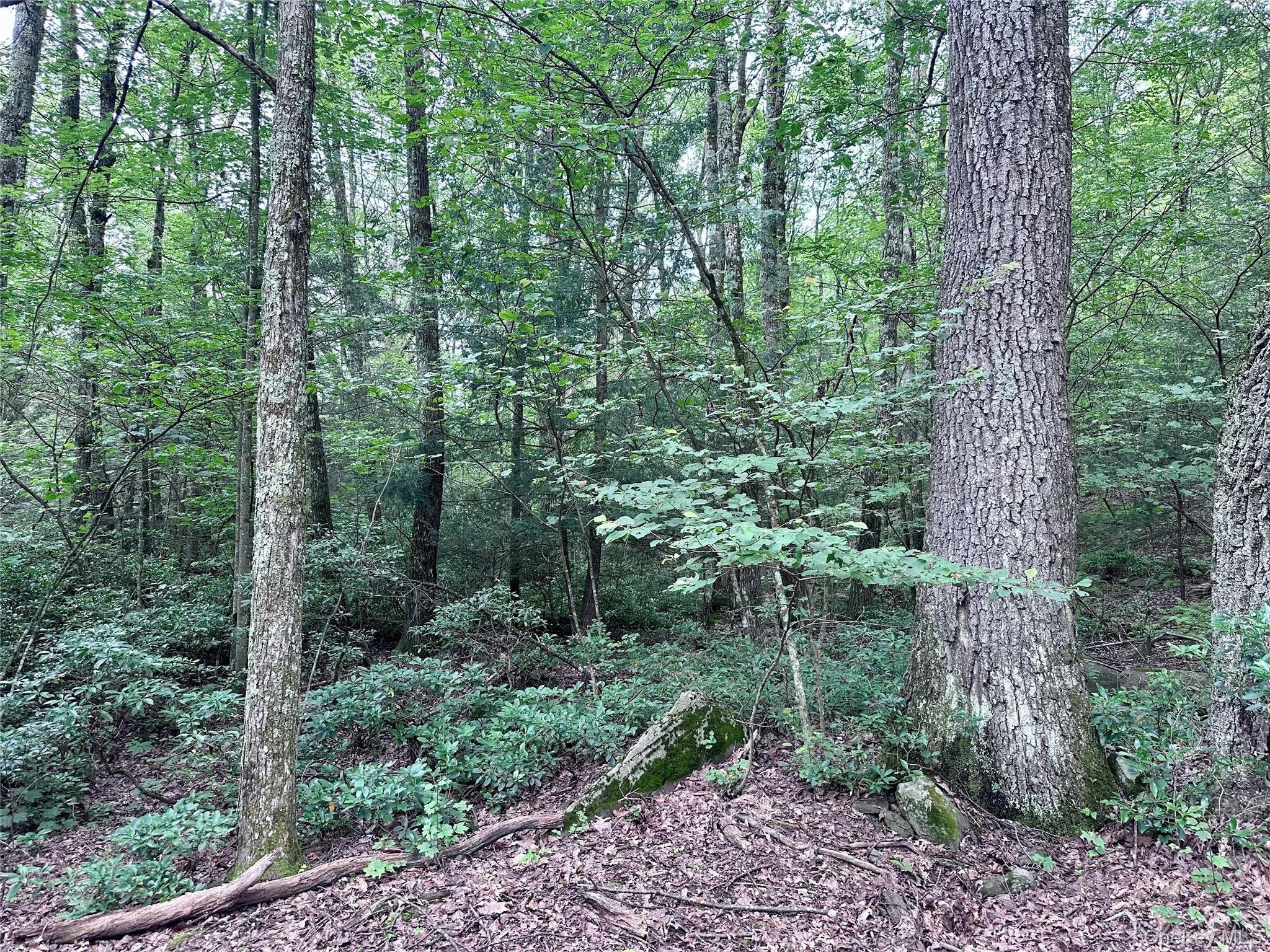 Lot 1 Upper Cherrytown, Kerhonkson, NY 12446