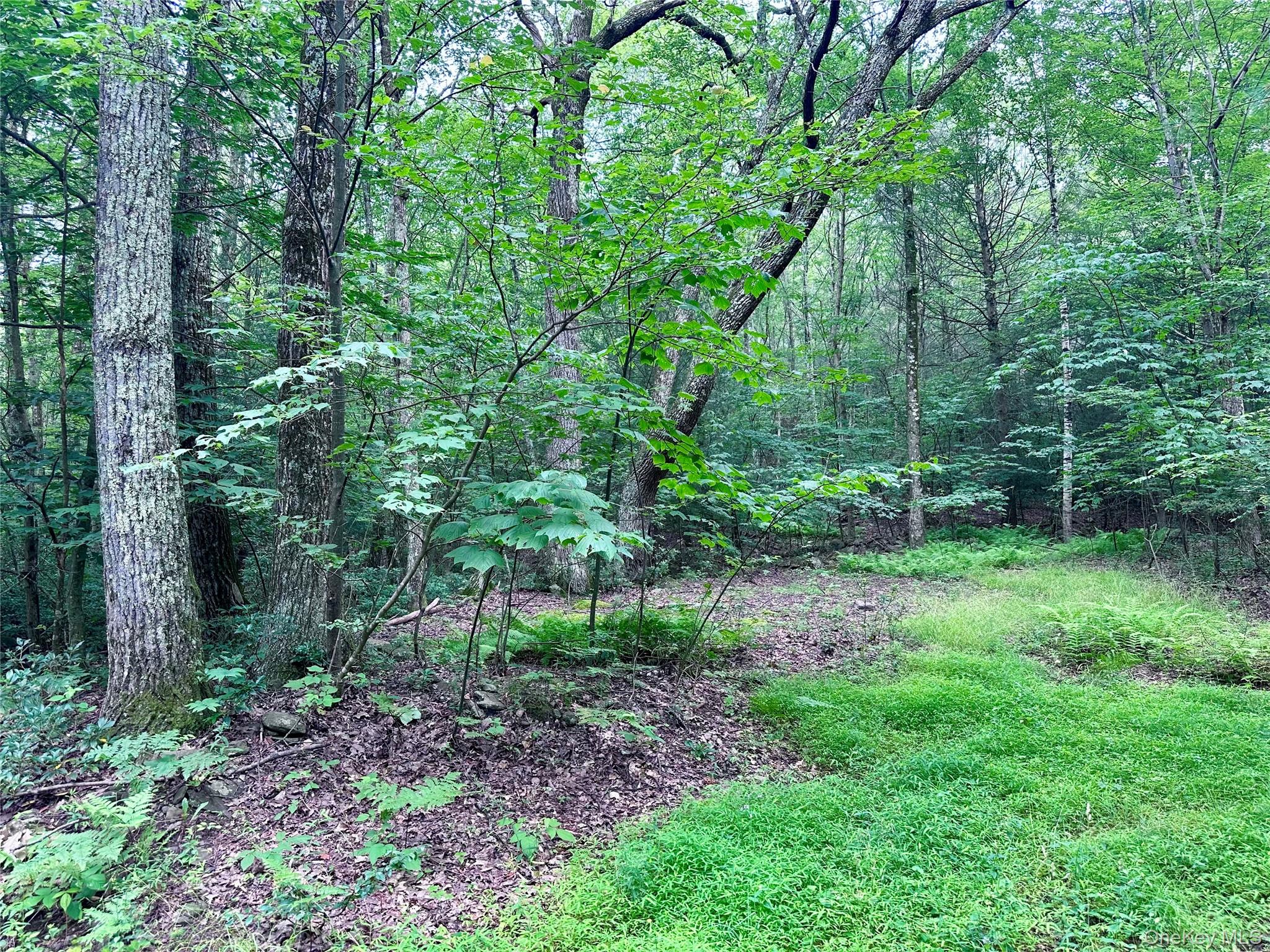 Lot 1 Upper Cherrytown, Kerhonkson, NY 12446