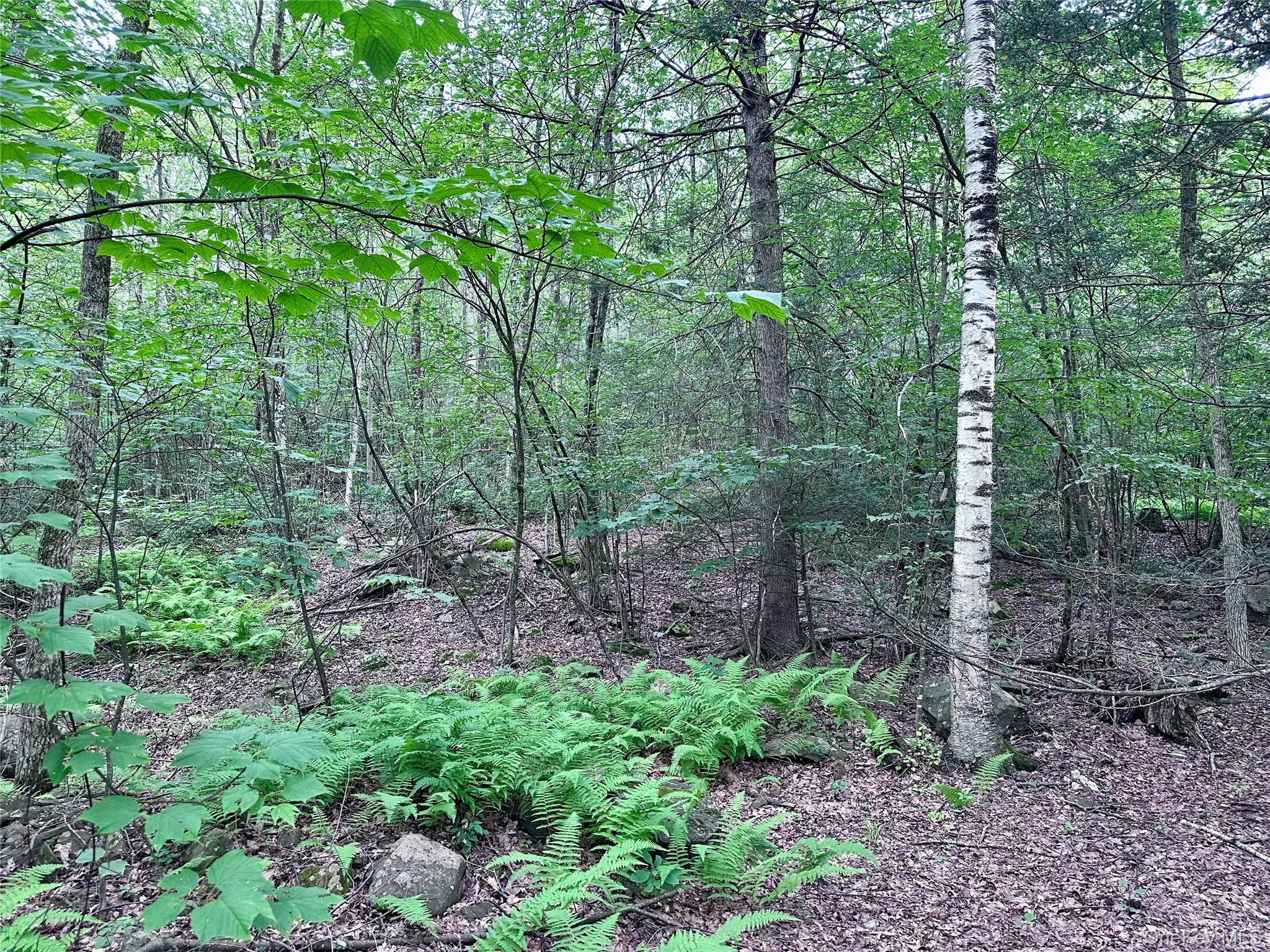 Lot 1 Upper Cherrytown, Kerhonkson, NY 12446