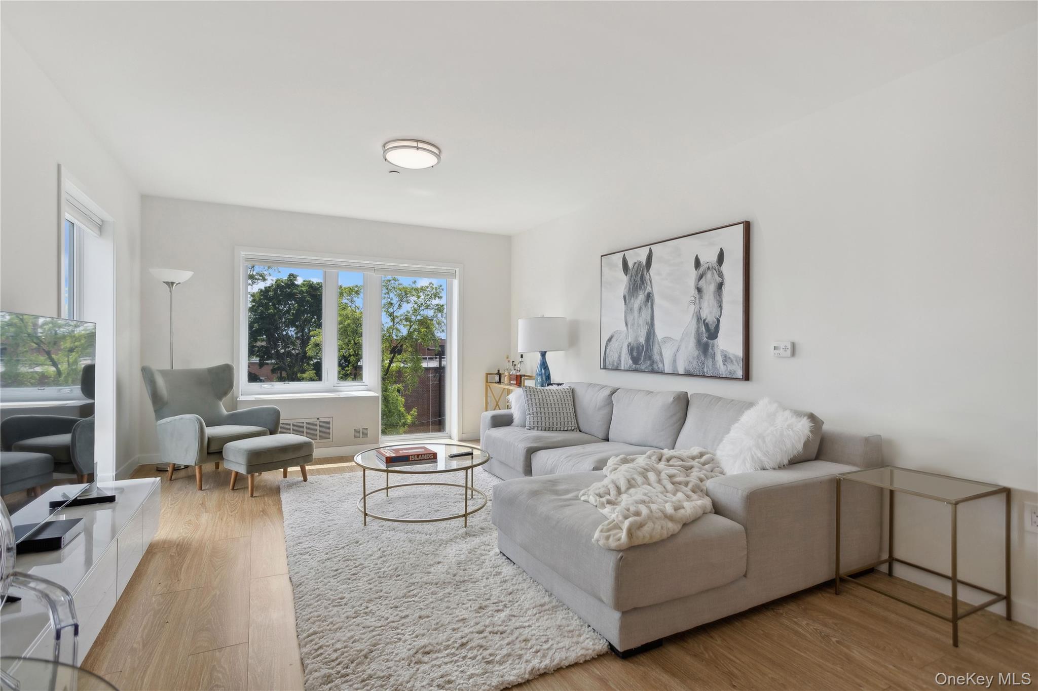 120 N Pearl Street # 209, Port Chester, NY 10573