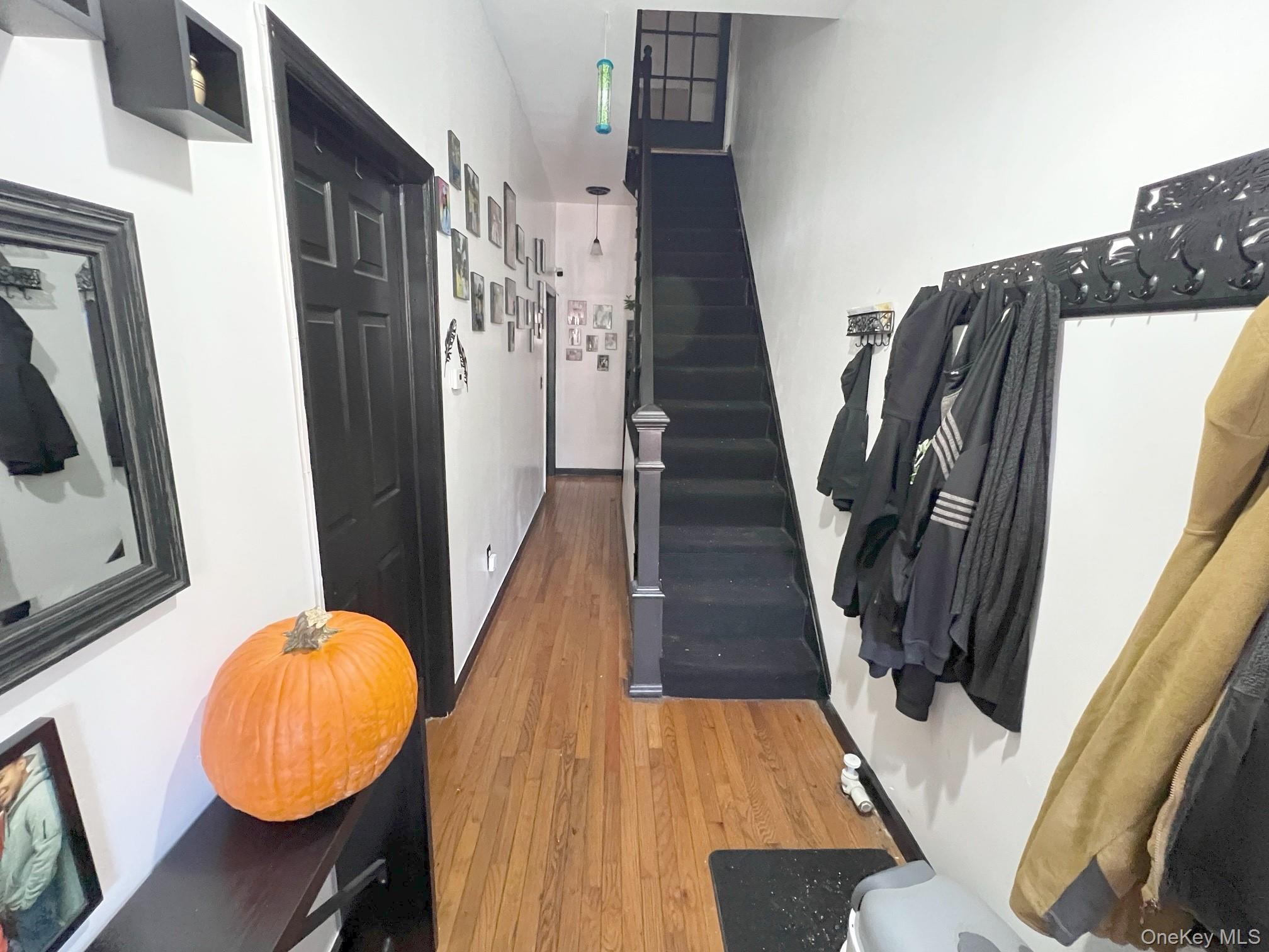 170 Atkins Avenue, Brooklyn, NY 11208