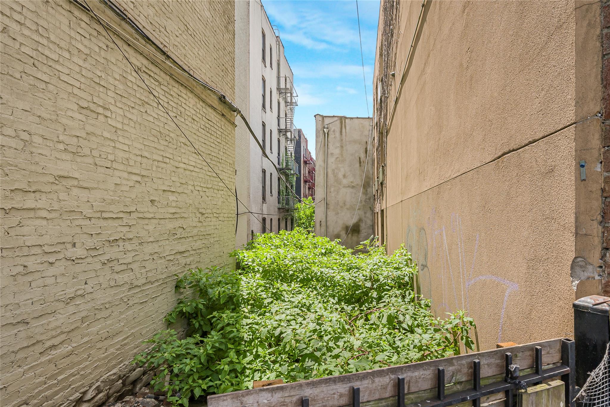 364 E 167th Street, Bronx, NY 10456