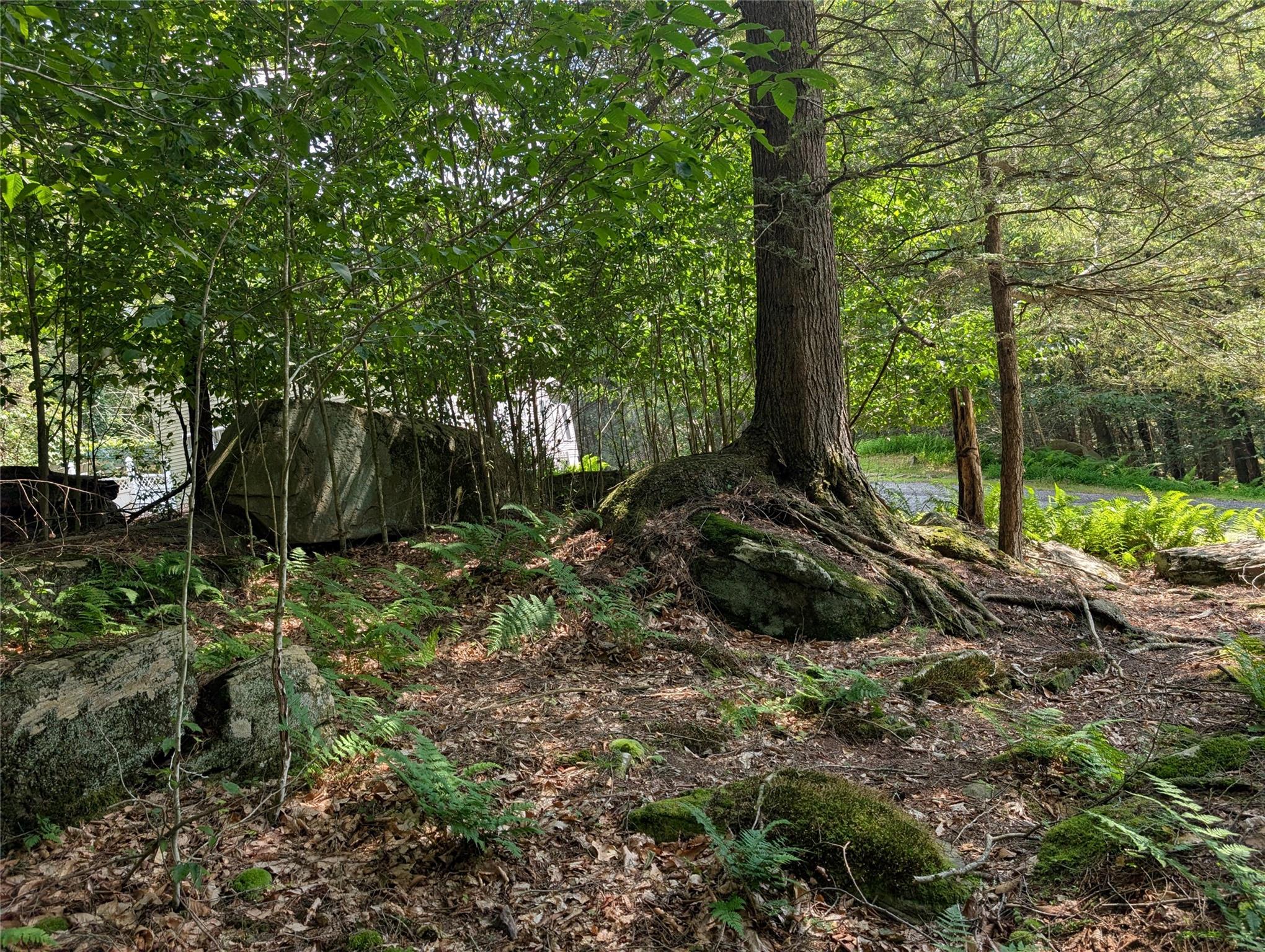 Andrew Lane, Bethel, NY 12720