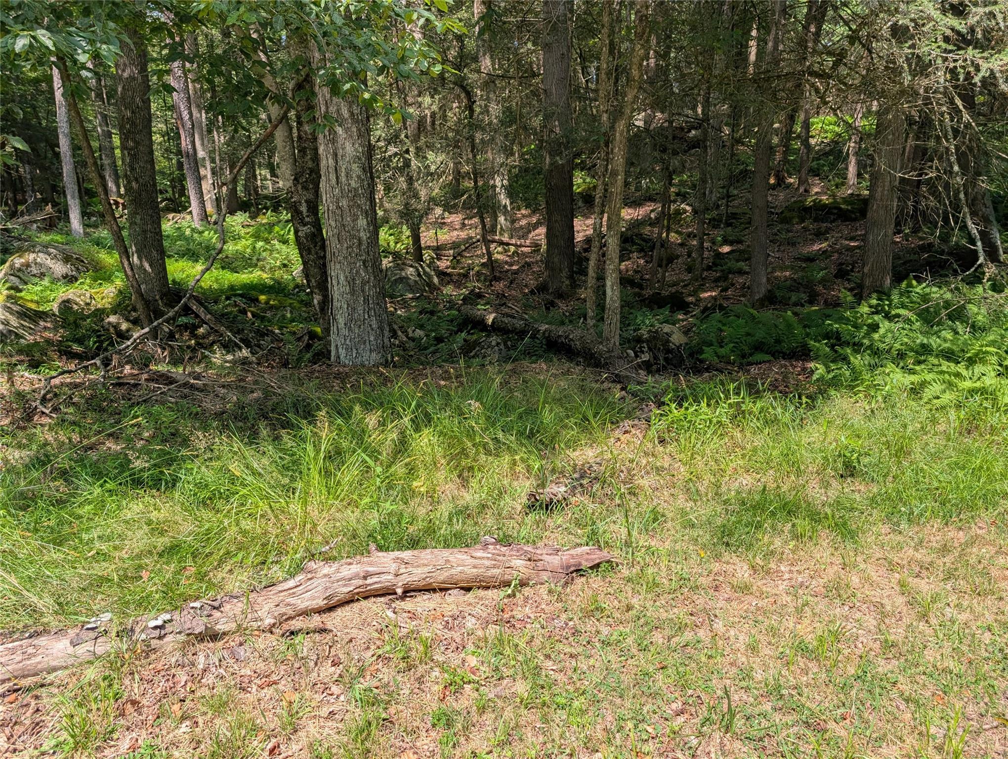 Andrew Lane, Bethel, NY 12720
