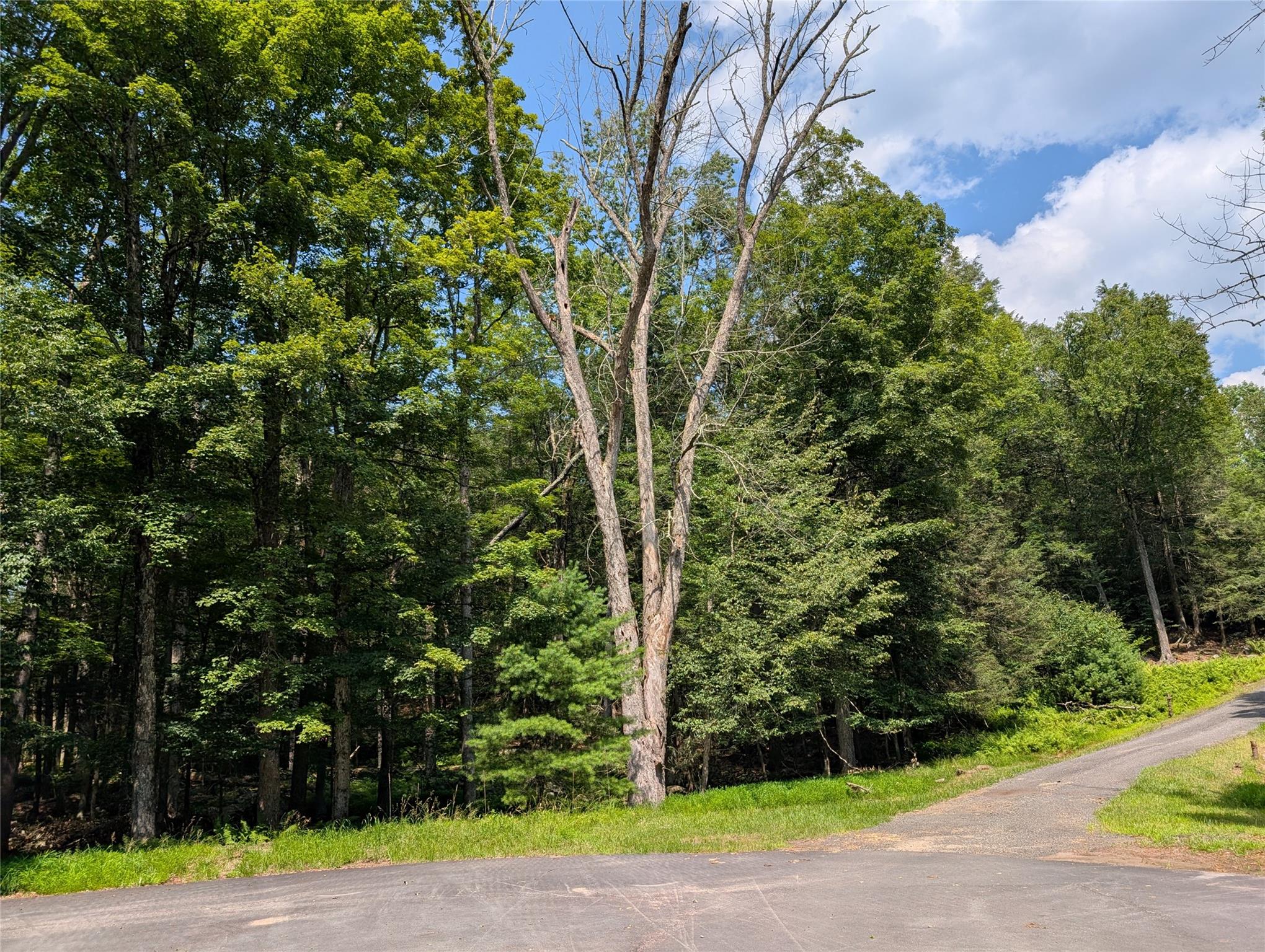 Andrew Lane, Bethel, NY 12720
