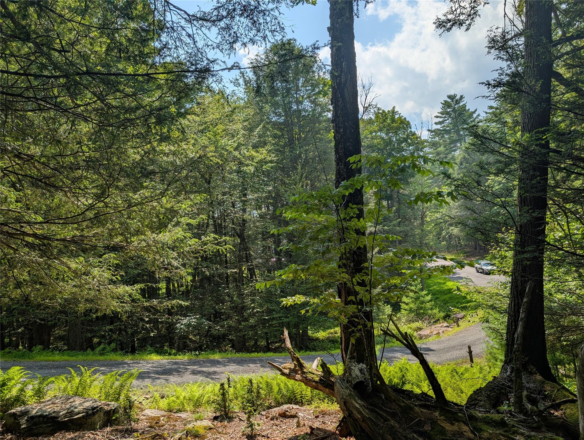Andrew Lane, Bethel, NY 12720