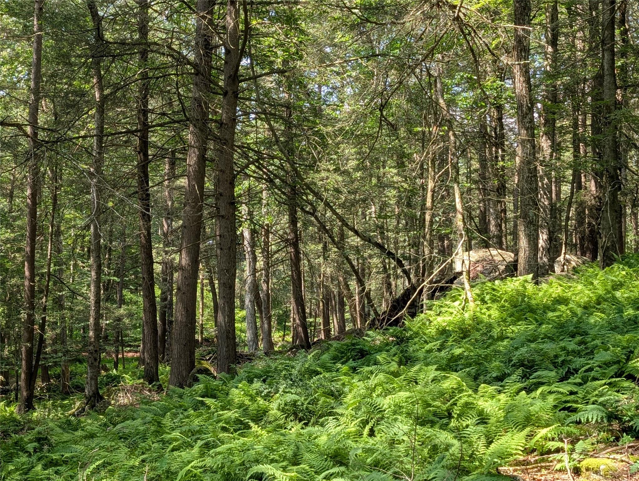 Andrew Lane, Bethel, NY 12720