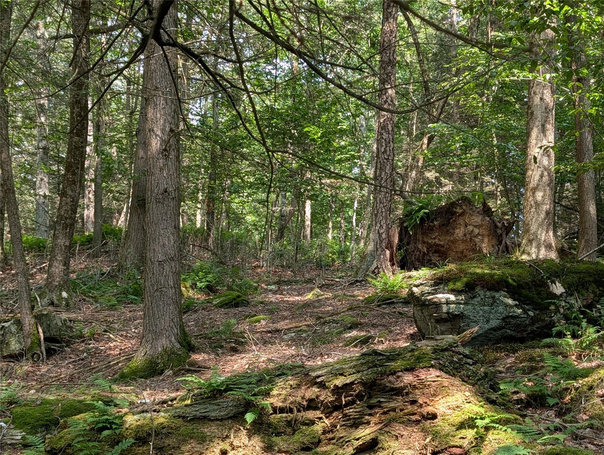 Andrew Lane, Bethel, NY 12720