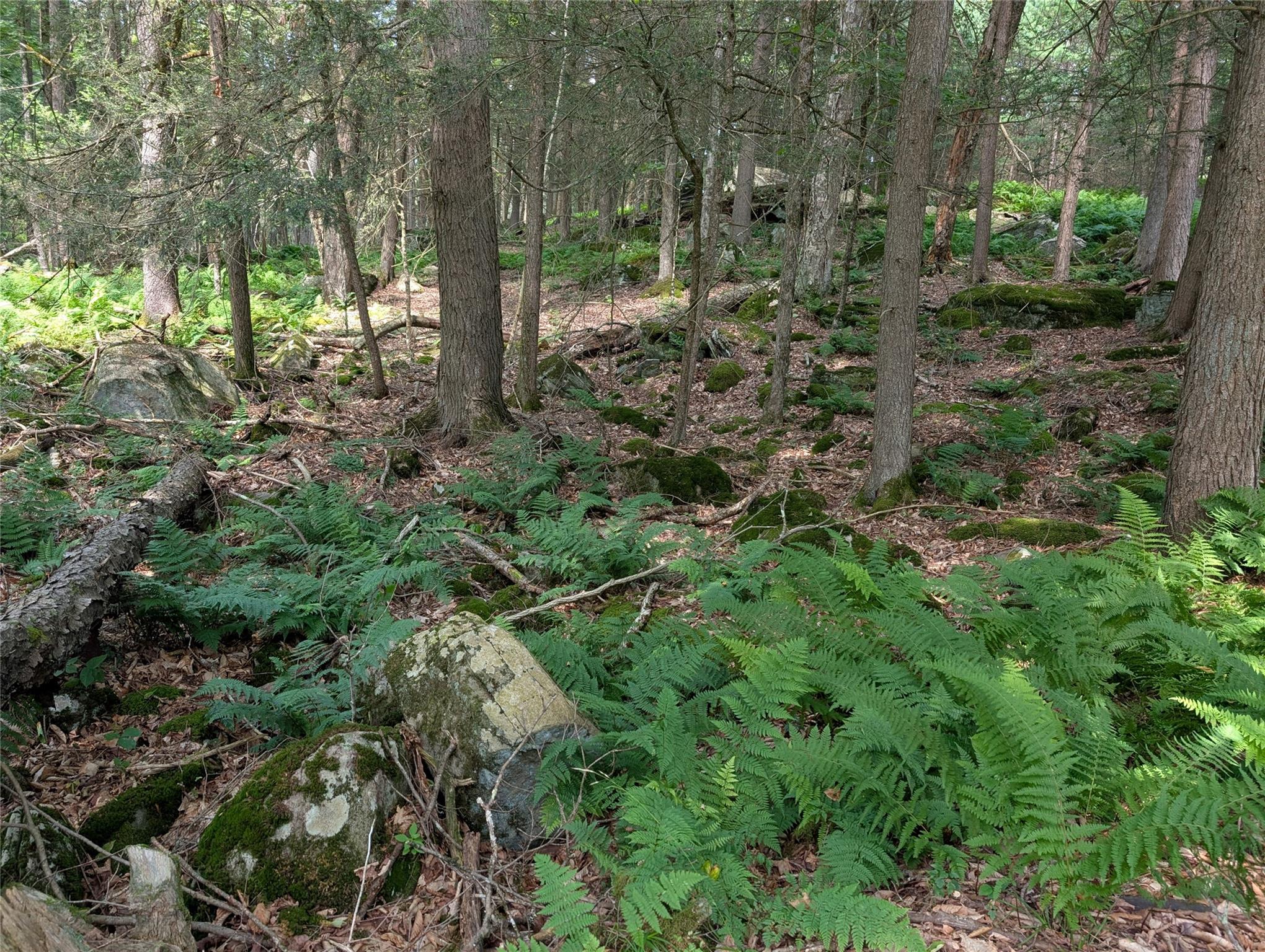 Andrew Lane, Bethel, NY 12720