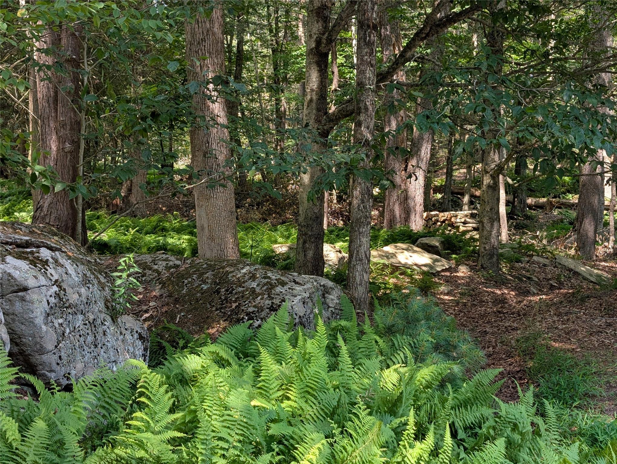 Andrew Lane, Bethel, NY 12720