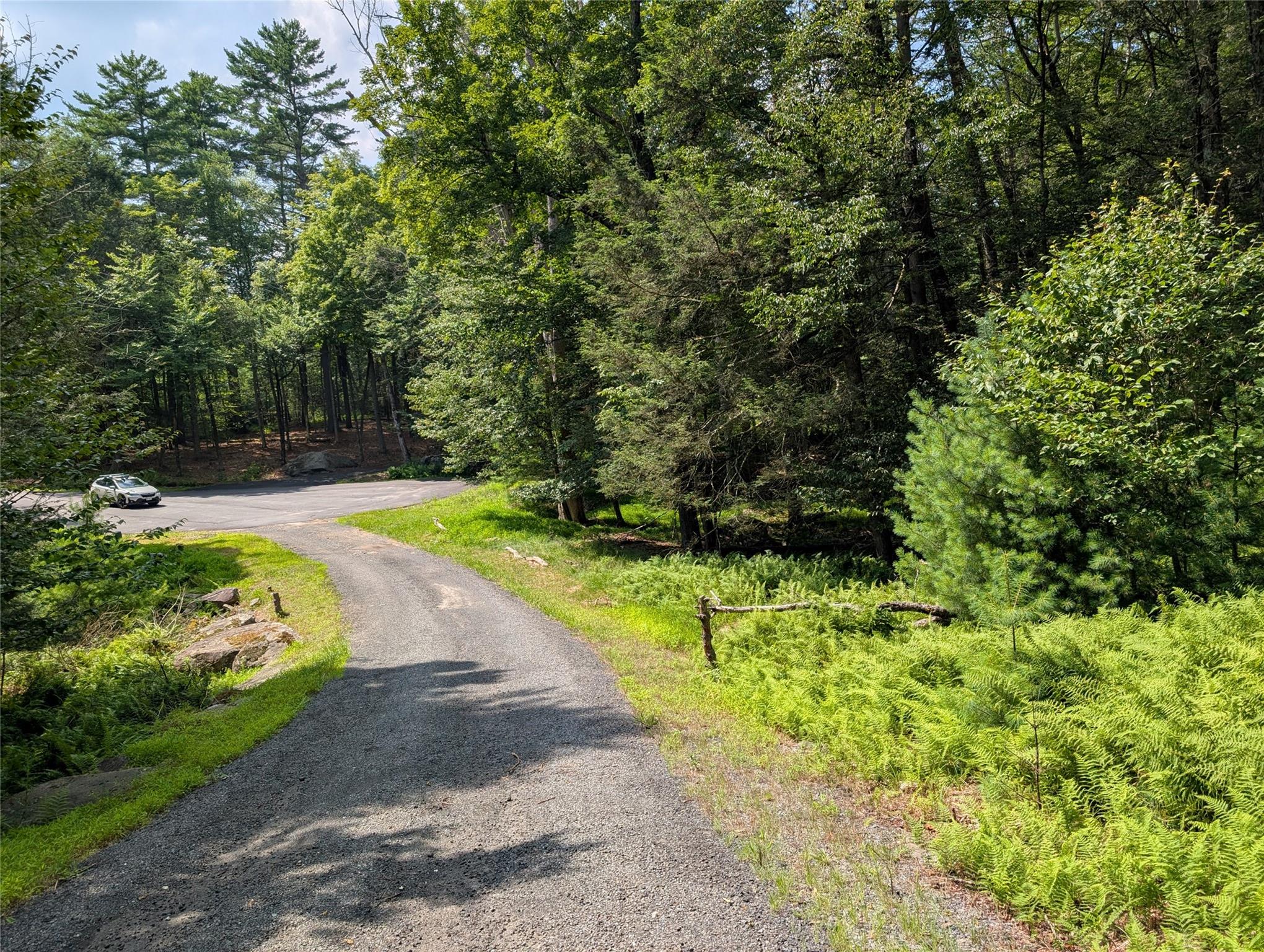 Andrew Lane, Bethel, NY 12720