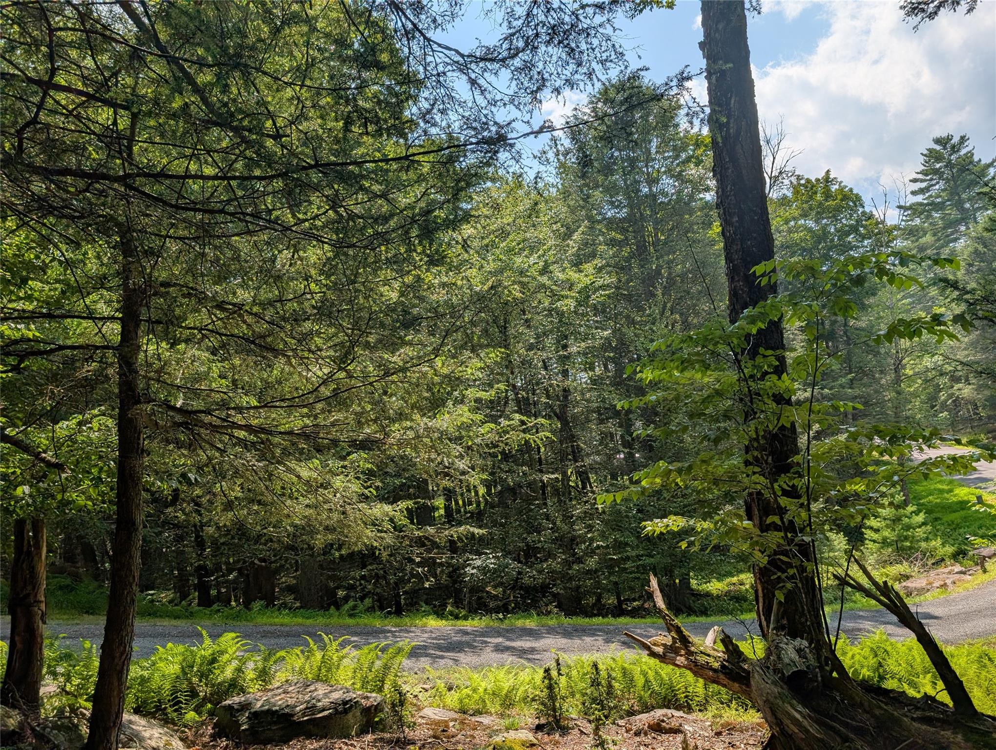 Andrew Lane, Bethel, NY 12720
