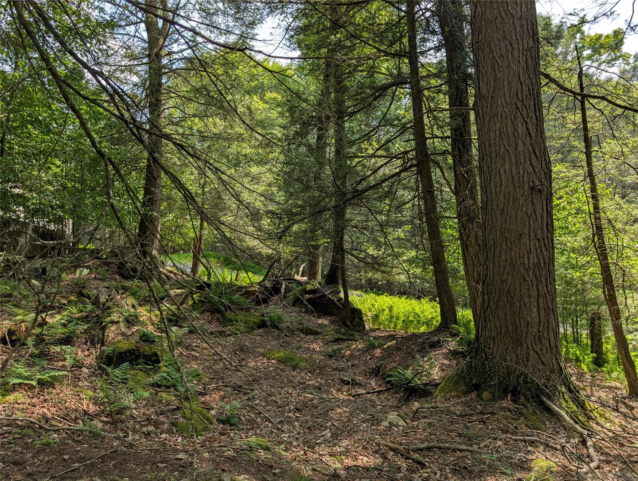 Andrew Lane, Bethel, NY 12720