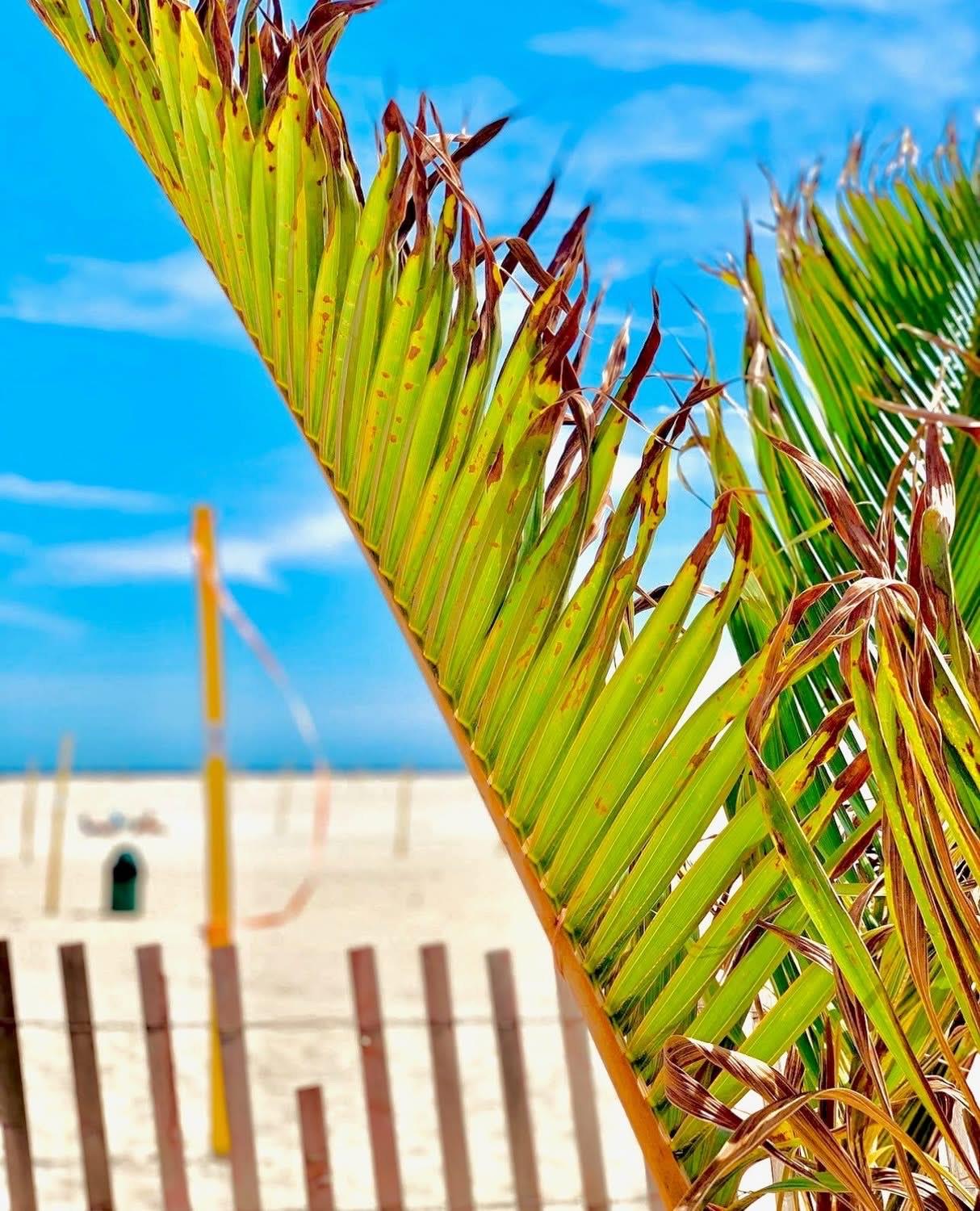 24 Lowerre Street, Babylon, NY 11702