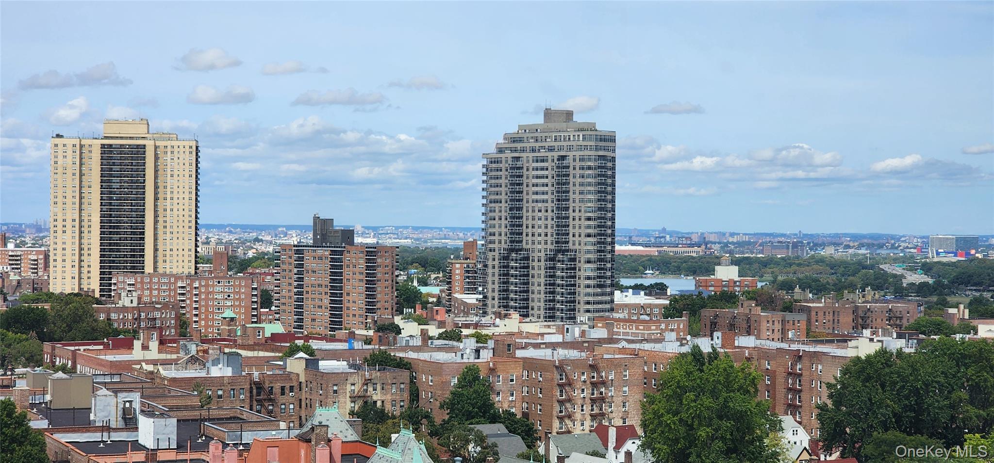 118-17 Union Turnpike # 14E, Forest Hills, NY 11375