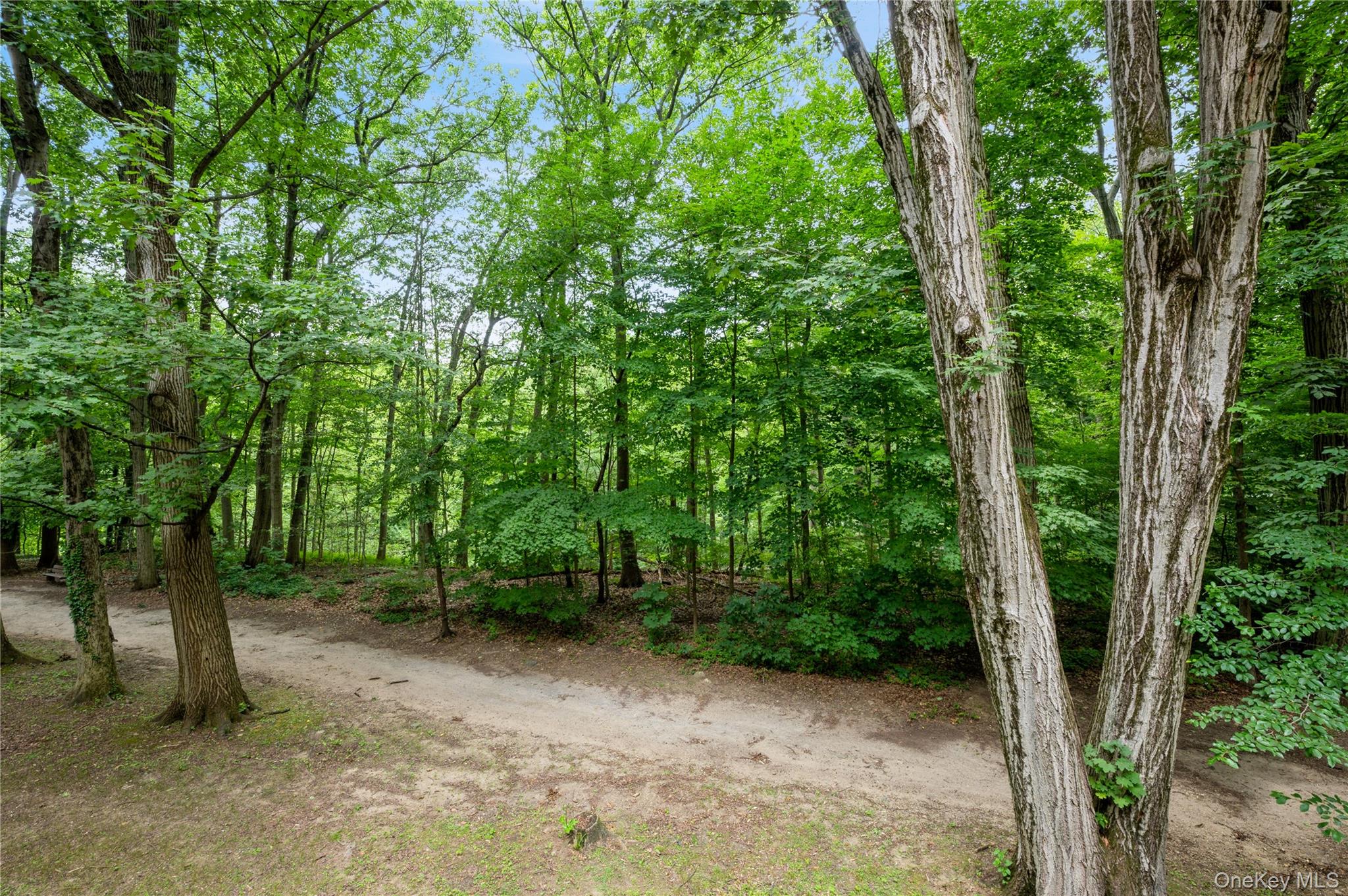 143 Garth Road # 4E, Scarsdale, NY 10583