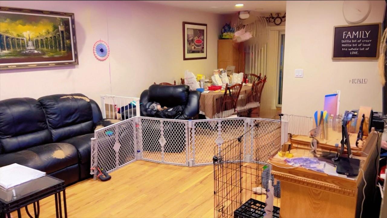 145 Dartmouth Drive, Hicksville, NY 11801