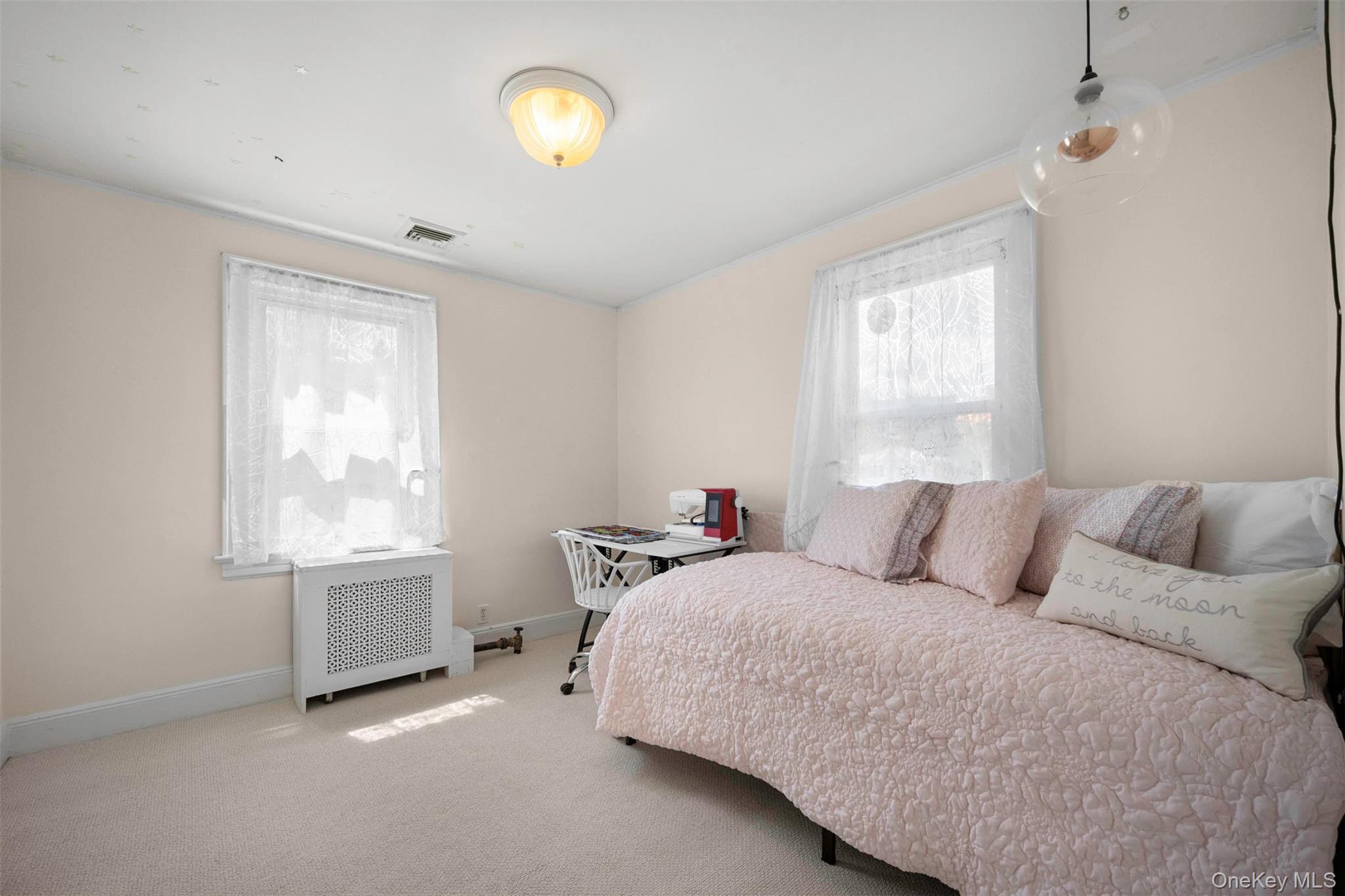 254-06 W End Drive, Great Neck, NY 11020