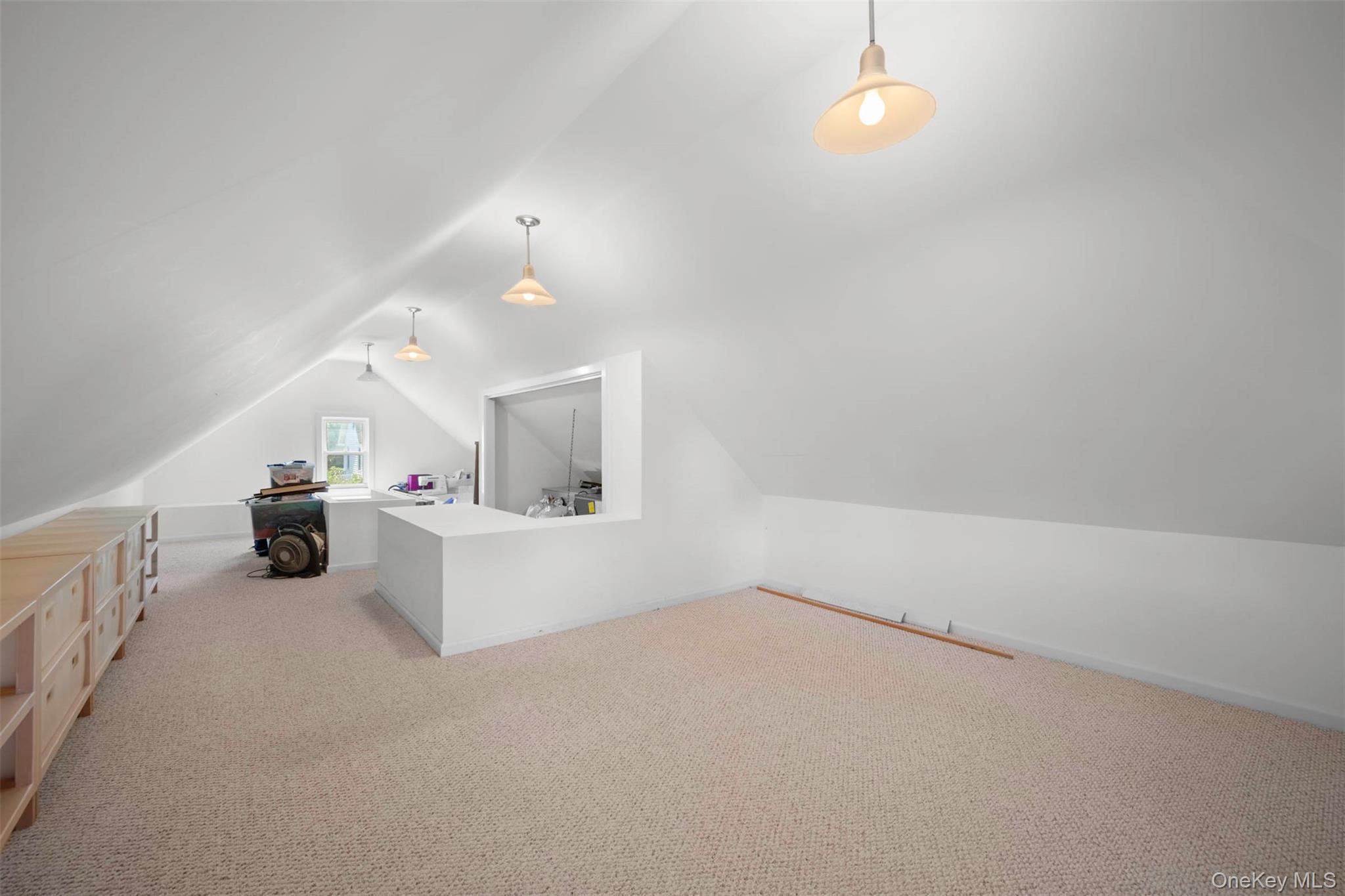 254-06 W End Drive, Great Neck, NY 11020