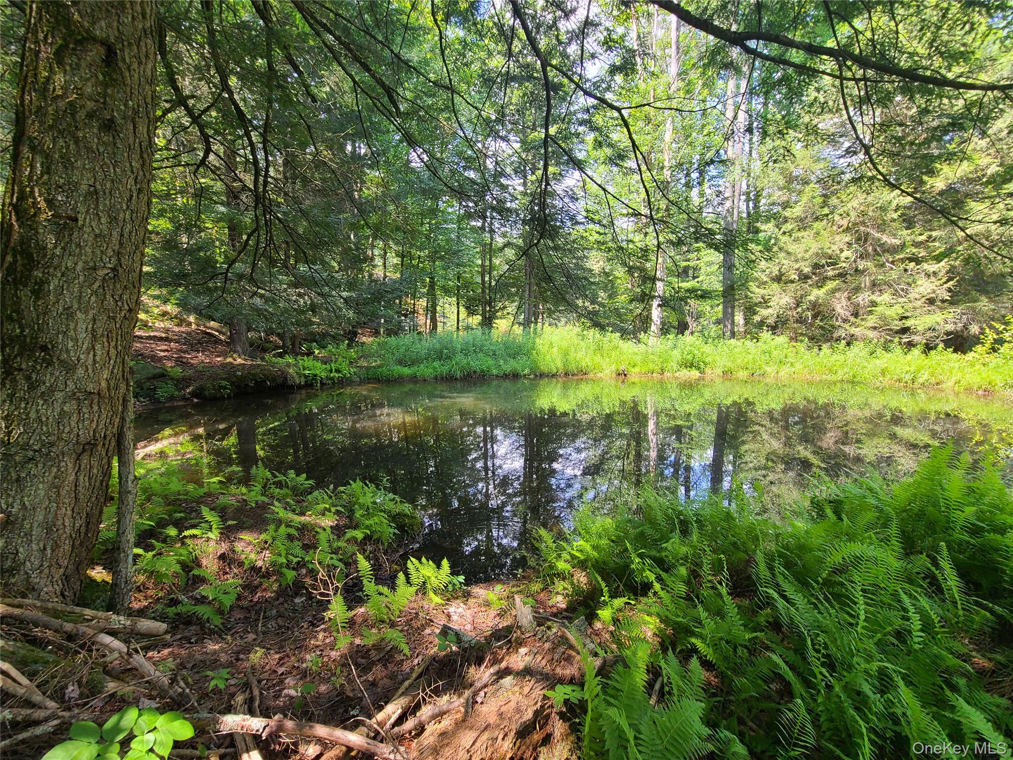 41 Martin Lane, Mongaup Valley, NY 12762