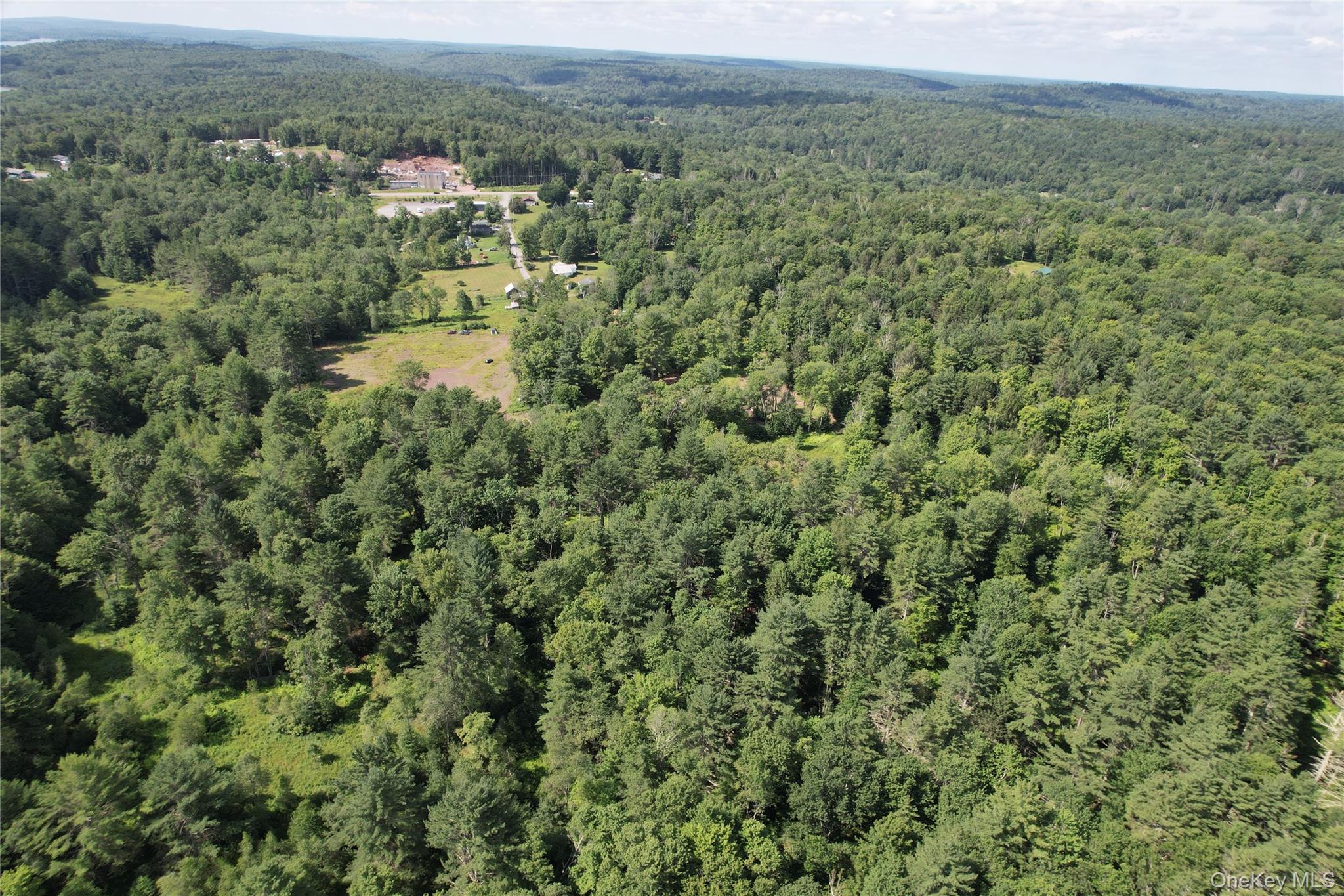 41 Martin Lane, Mongaup Valley, NY 12762