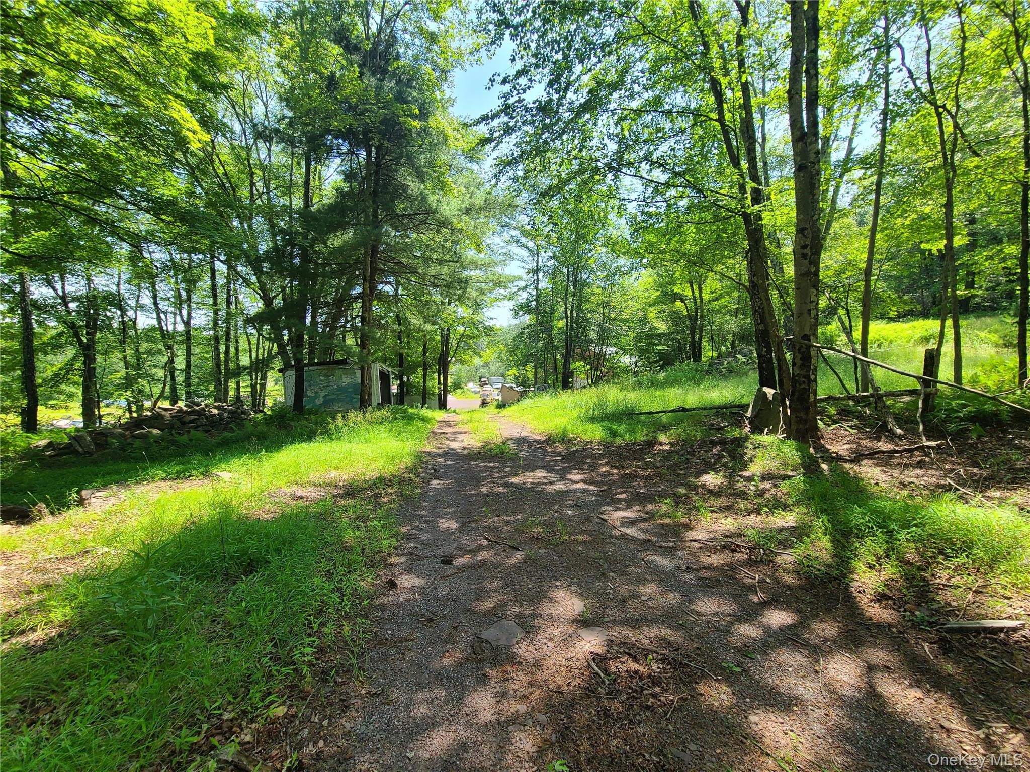 41 Martin Lane, Mongaup Valley, NY 12762