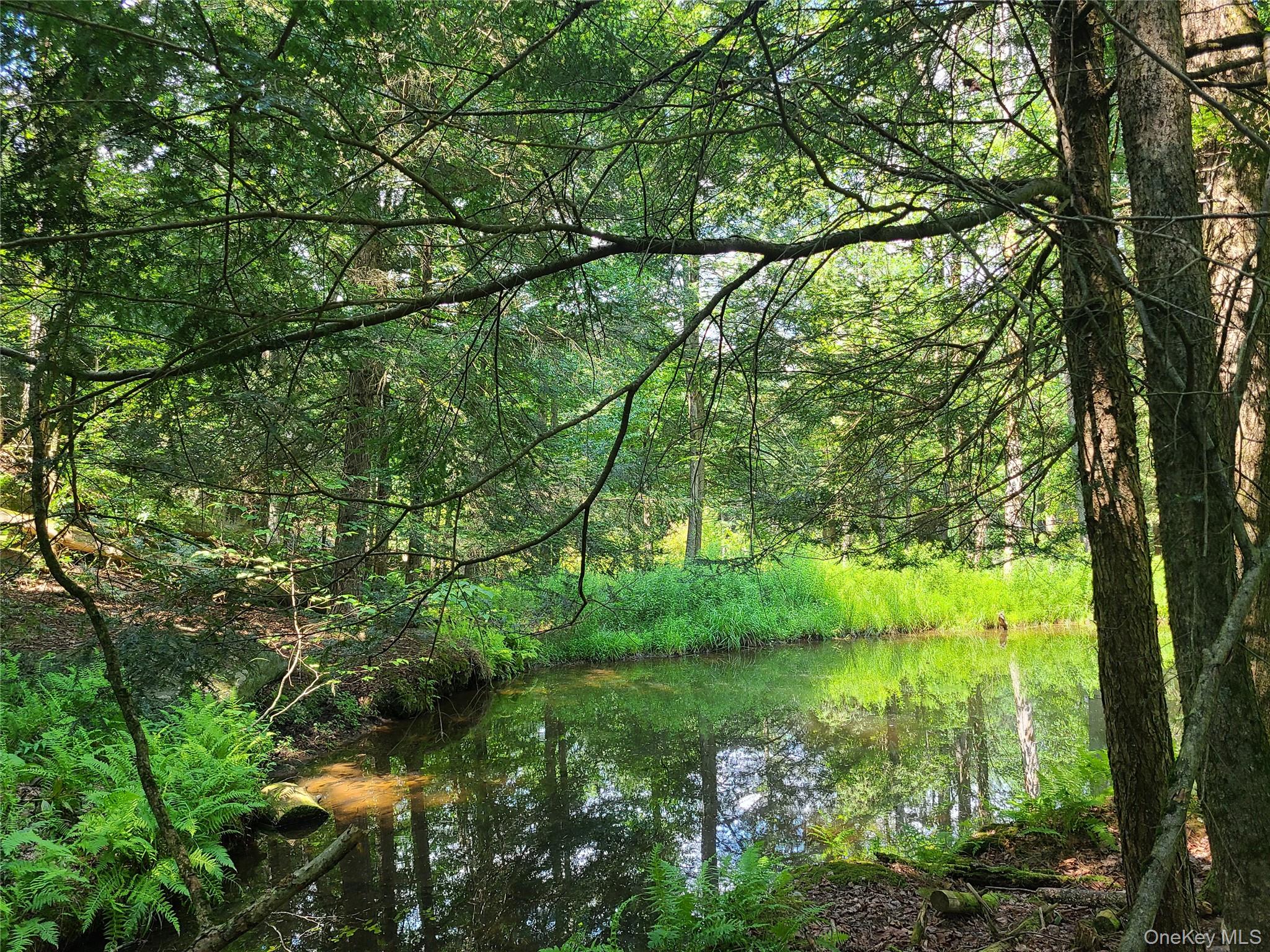 28 Martin Lane, Mongaup Valley, NY 12762