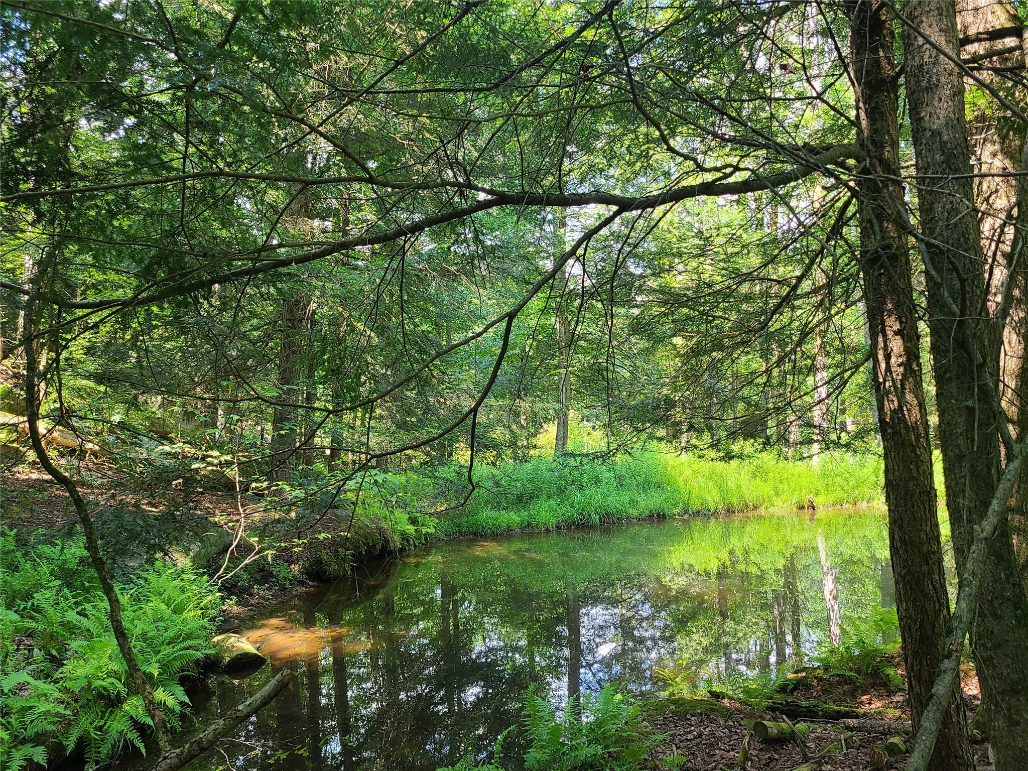 28 Martin Lane, Mongaup Valley, NY 12762