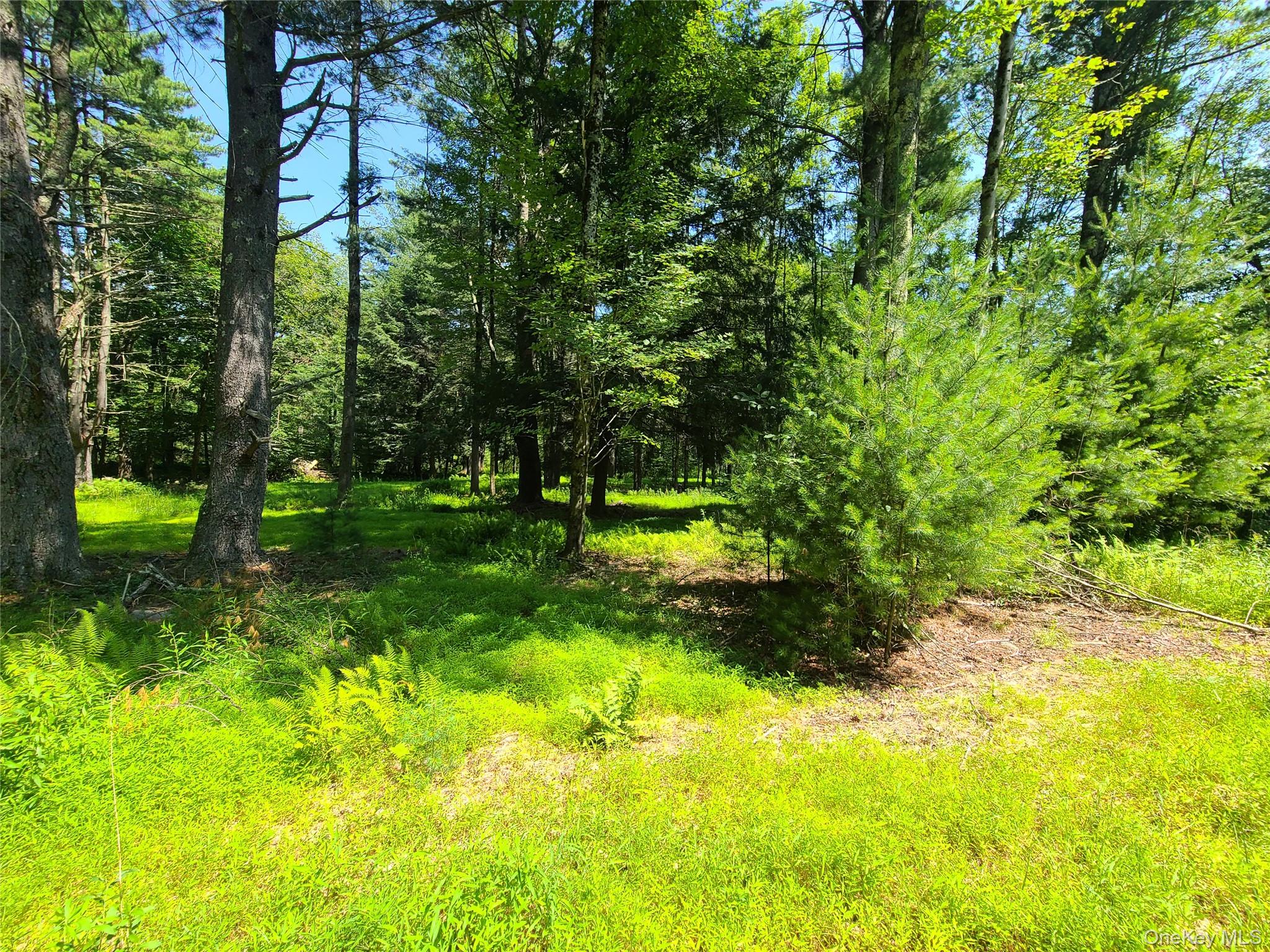 28 Martin Lane, Mongaup Valley, NY 12762